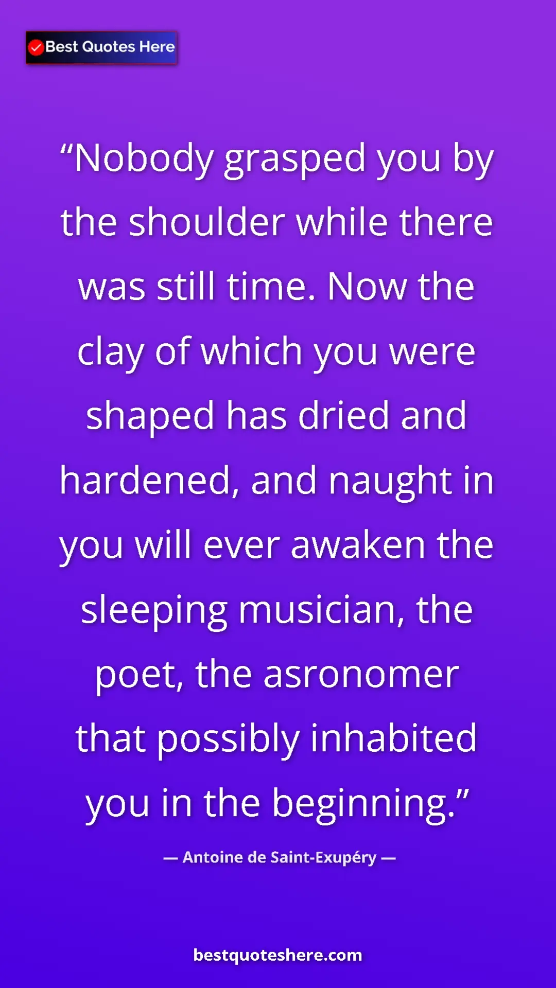 Antoine de Saint-Exupéry Quote Card: "Nobody grasped you by the shoulder while there was still..." Pinterest quote poster by Antoine de Saint-Exupéry: "Nobody grasped you by the shoulder while there was still..."