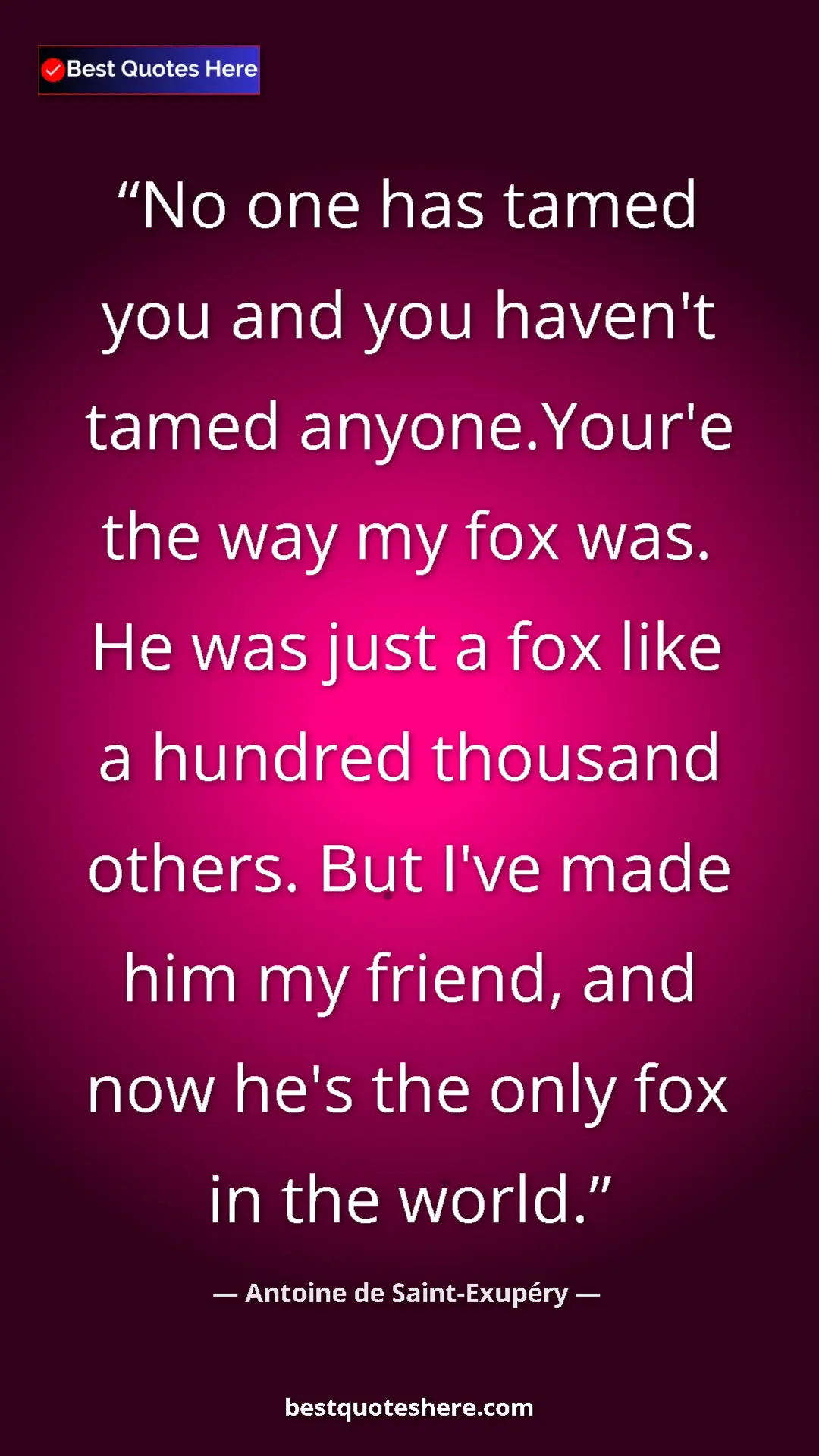 Pinterest quote poster by Antoine de Saint-Exupéry: "No one has tamed you and you haven't tamed anyone.Your'e..."