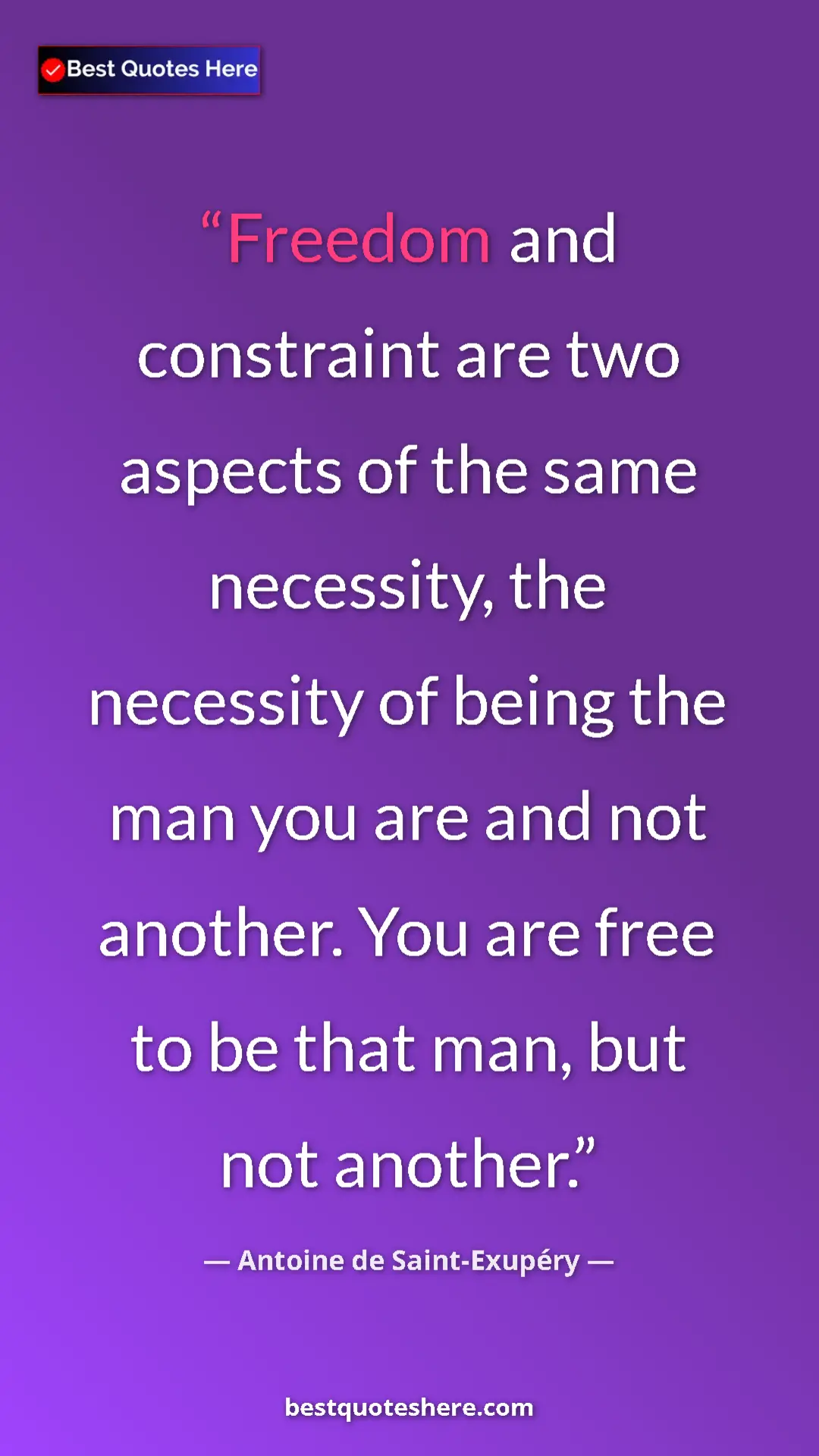 Pinterest quote poster by Antoine de Saint-Exupéry: "Freedom and constraint are two aspects of the same..."