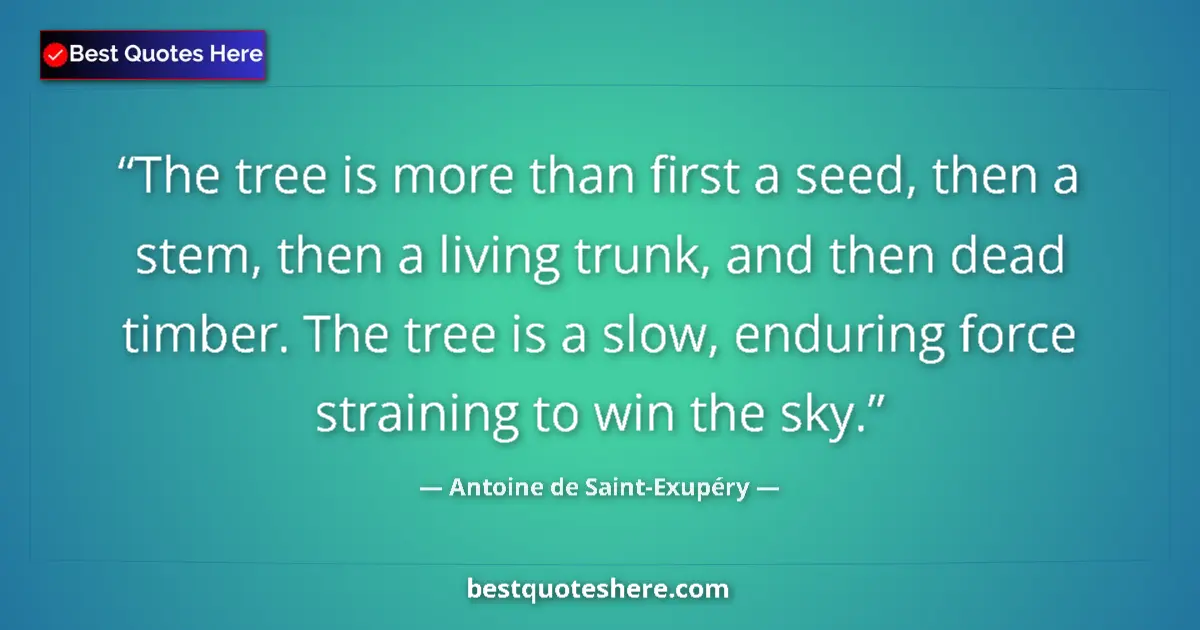 Quote by Antoine de Saint-Exupéry: The tree is more than first a seed, then a stem, t