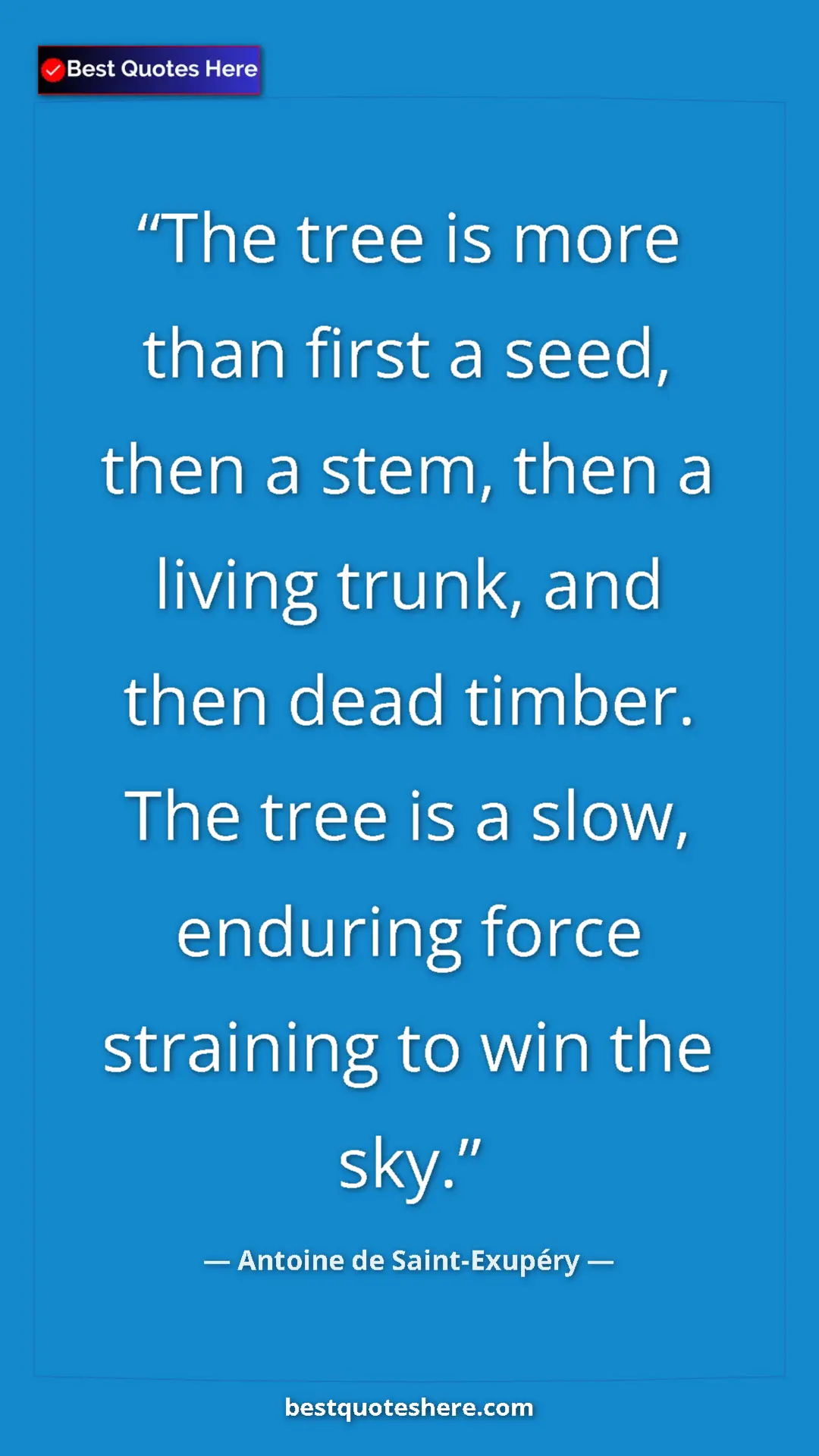 Pinterest quote poster by Antoine de Saint-Exupéry: "The tree is more than first a seed, then a stem, then a..."