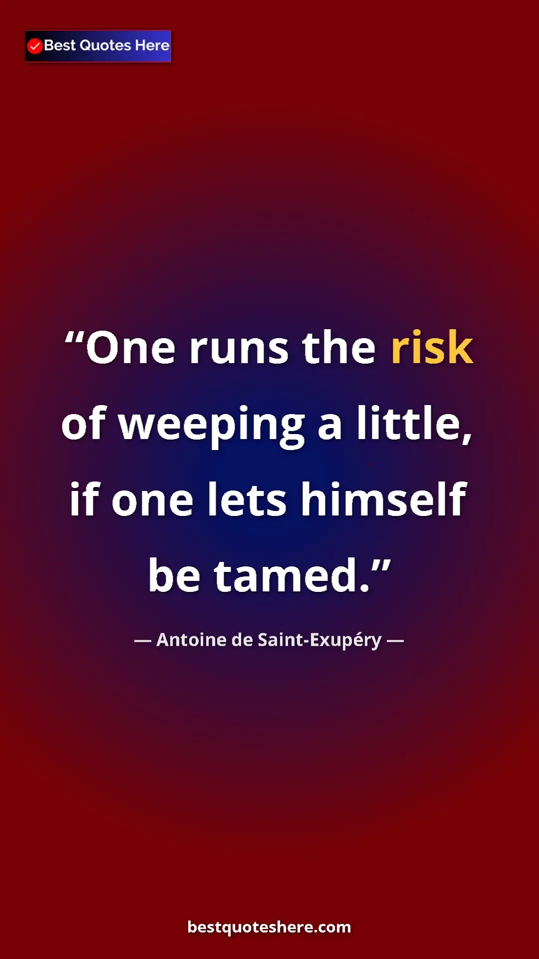 Pinterest quote poster by Antoine de Saint-Exupéry: "One runs the risk of weeping a little, if one lets himself..."
