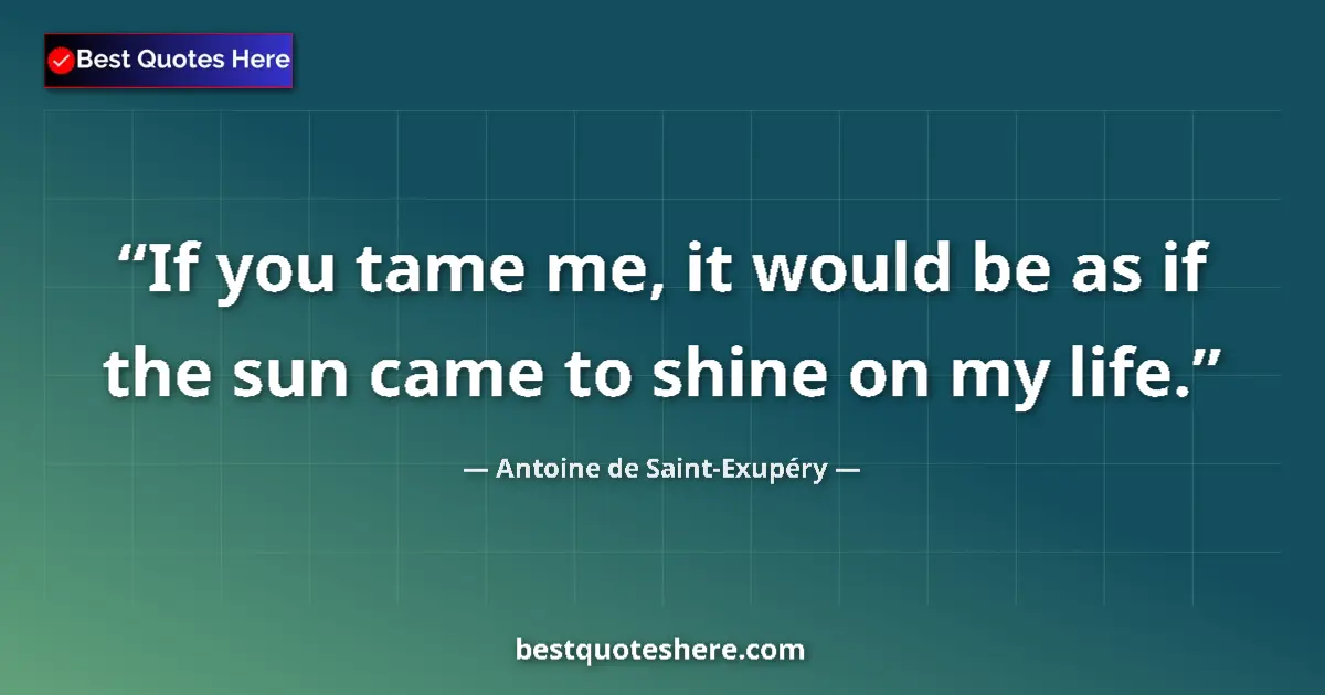 Quote by Antoine de Saint-Exupéry: If you tame me, it would be as if the sun came to shine on my life....