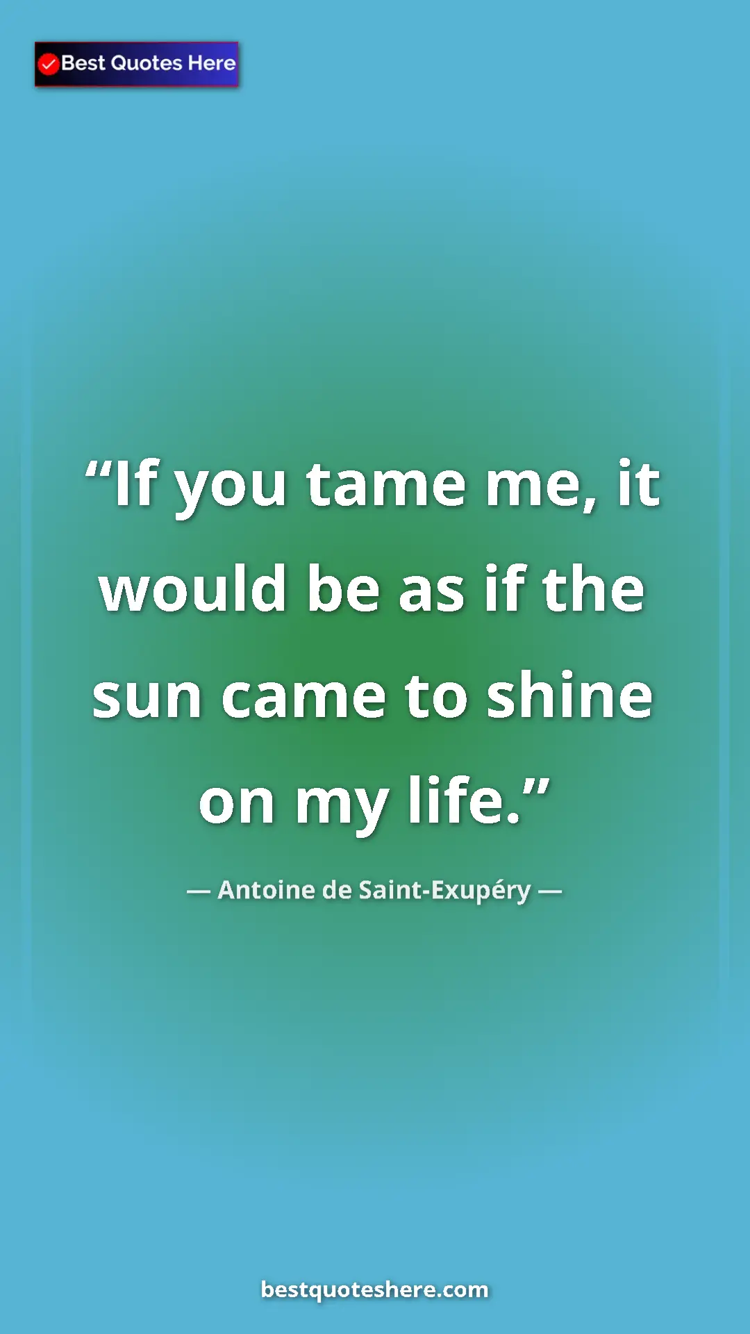 Pinterest quote poster by Antoine de Saint-Exupéry: "If you tame me, it would be as if the sun came to shine on..."
