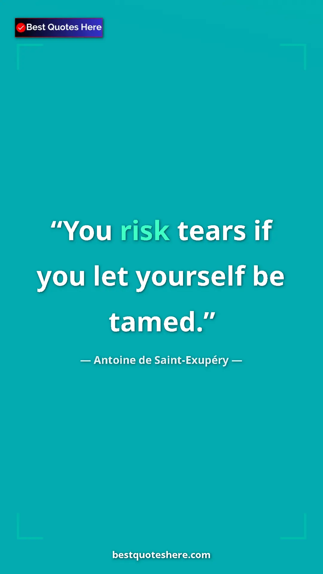 Pinterest quote poster by Antoine de Saint-Exupéry: "You risk tears if you let yourself be tamed."