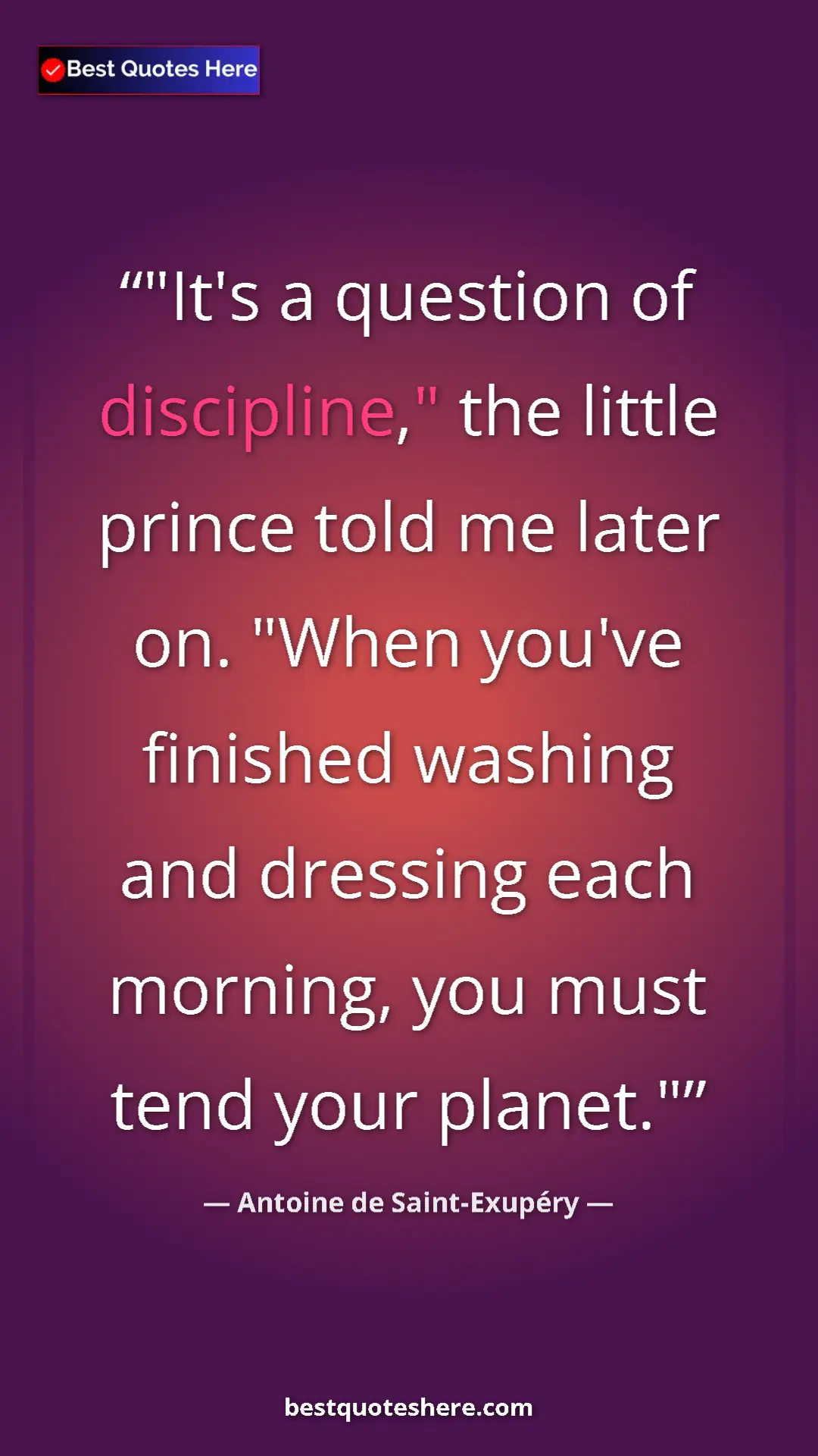 Pinterest quote poster by Antoine de Saint-Exupéry: ""It's a question of discipline," the little prince told me..."
