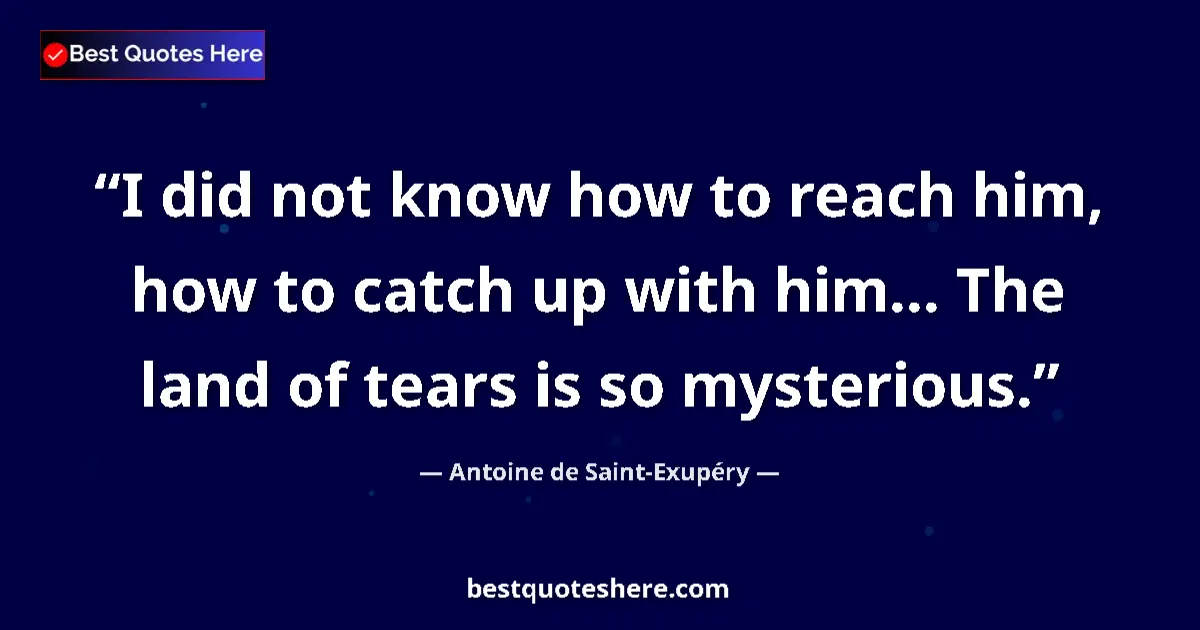 Image for the quote by Antoine De Saint Exupery: I did not know how to reach him, how to catch up with him... The land of tears is so mysterious....