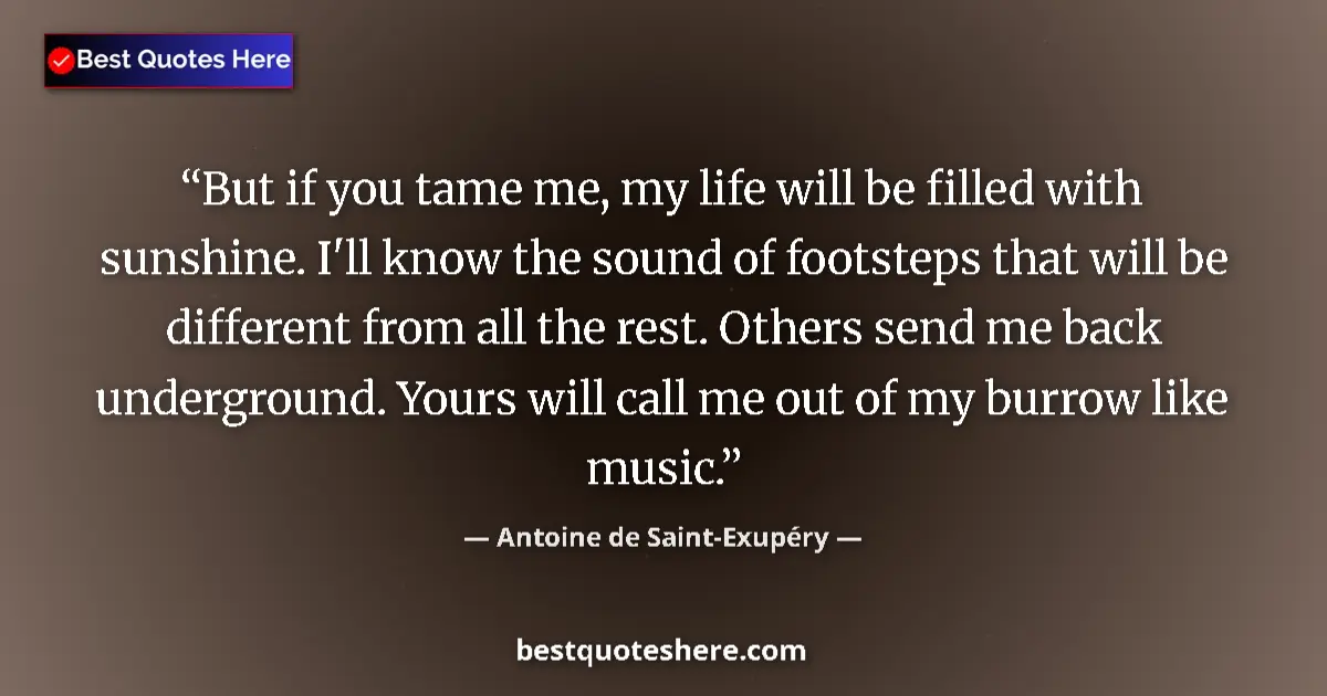 Image for the quote by Antoine De Saint Exupery: But if you tame me, my life will be filled with sunshine. I'll know the sound of footsteps that will...