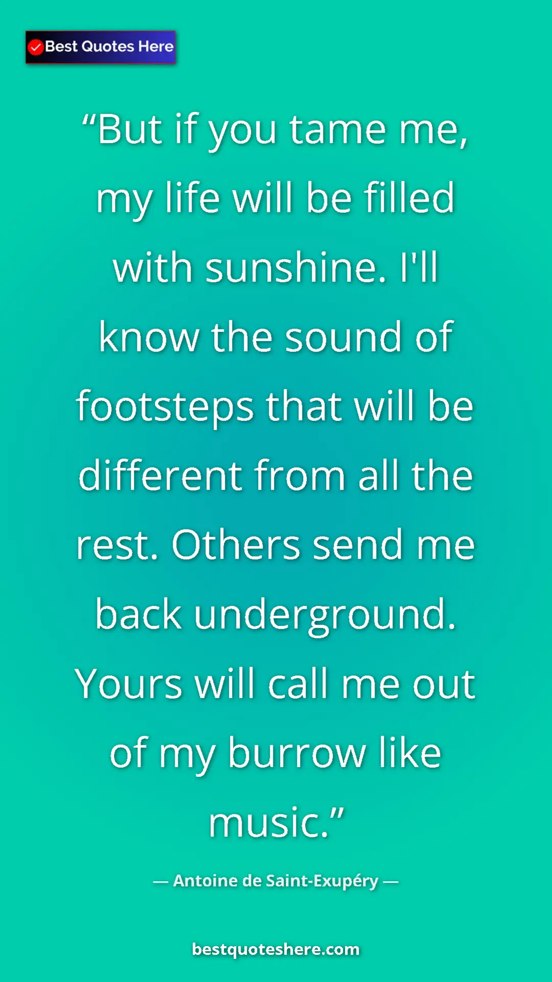 Pinterest quote poster by Antoine de Saint-Exupéry: "But if you tame me, my life will be filled with sunshine...."