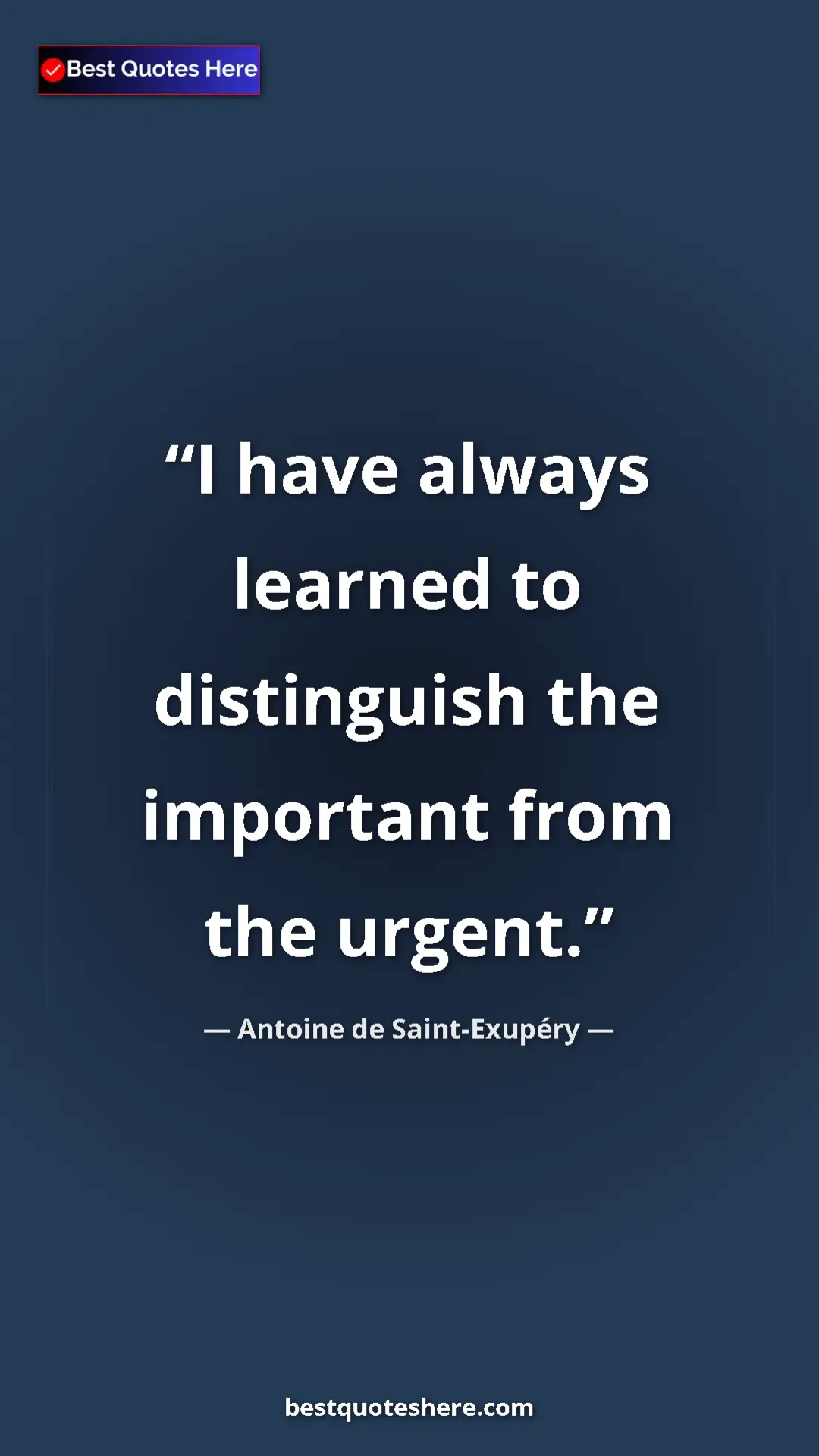 Pinterest quote poster by Antoine de Saint-Exupéry: "I have always learned to distinguish the important from the..."