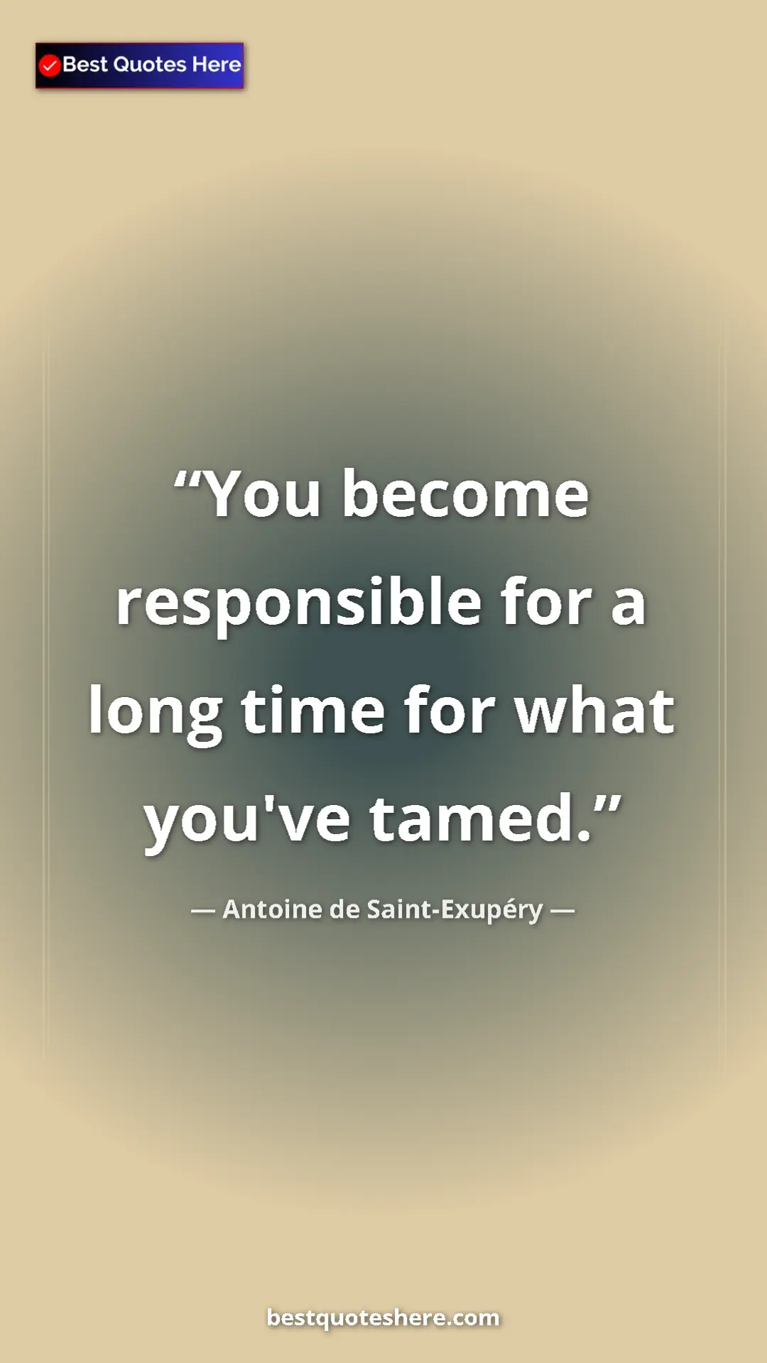 Pinterest quote poster by Antoine de Saint-Exupéry: "You become responsible for a long time for what you've..."