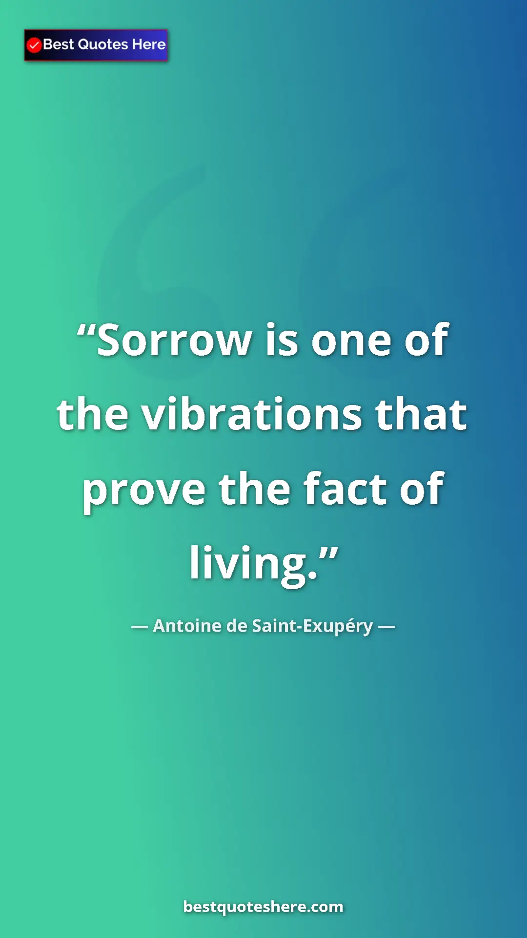 Pinterest quote poster by Antoine de Saint-Exupéry: "Sorrow is one of the vibrations that prove the fact of..."