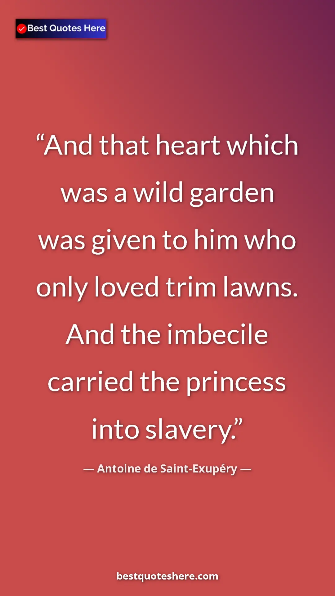 Pinterest quote poster by Antoine de Saint-Exupéry: "And that heart which was a wild garden was given to him who..."