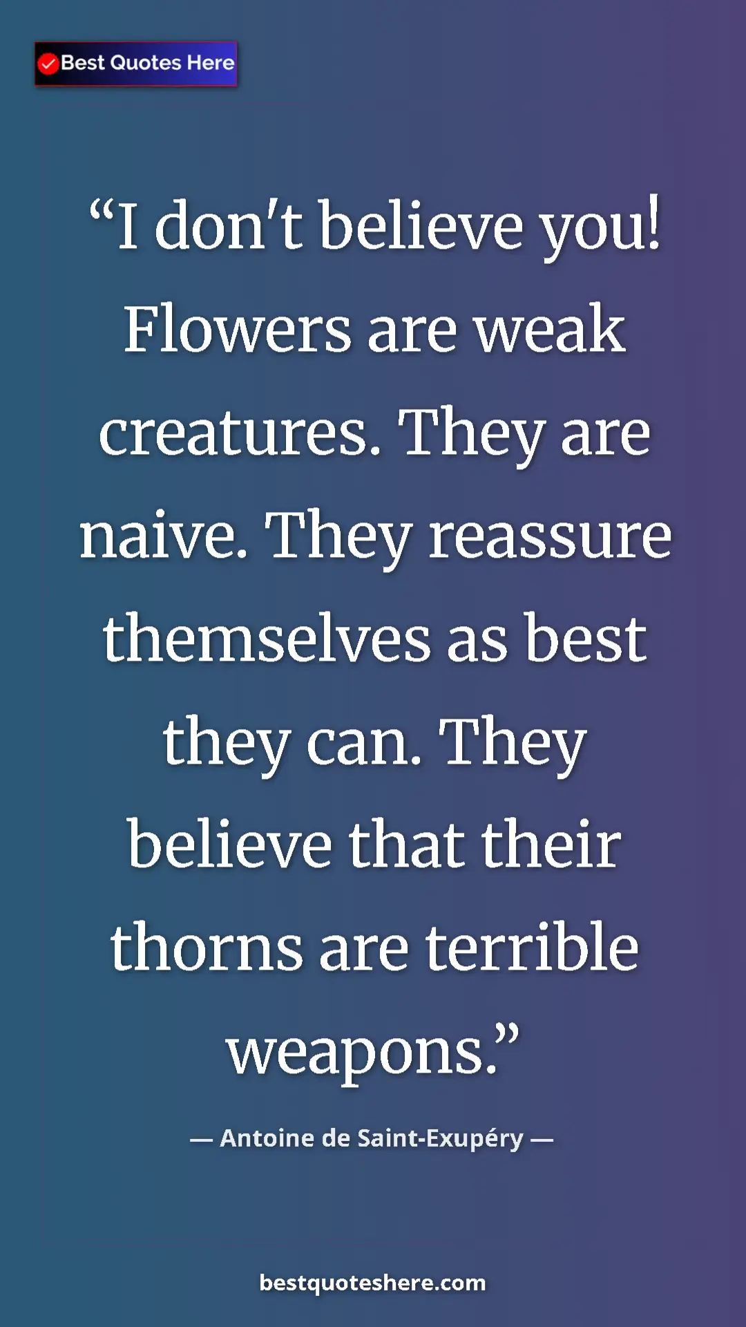 Pinterest quote poster by Antoine de Saint-Exupéry: "I don't believe you! Flowers are weak creatures. They are..."