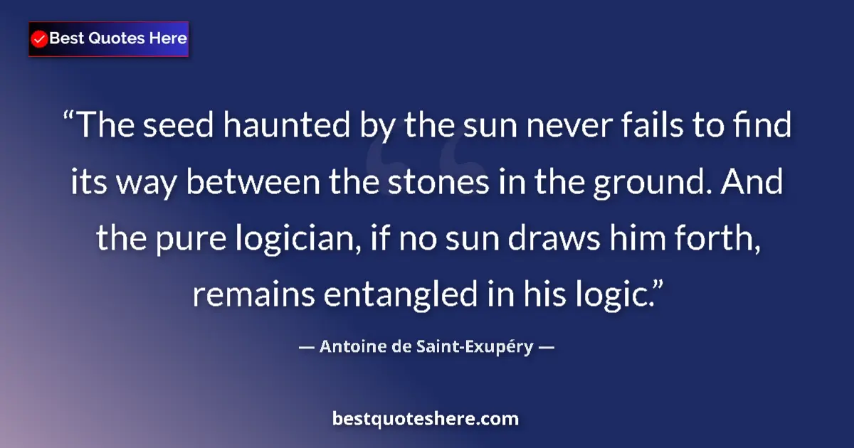 Quote by Antoine de Saint-Exupéry: The seed haunted by the sun never fails to find it