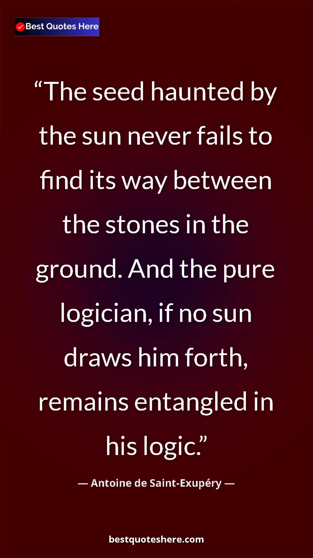 Pinterest quote poster by Antoine de Saint-Exupéry: "The seed haunted by the sun never fails to find its way..."