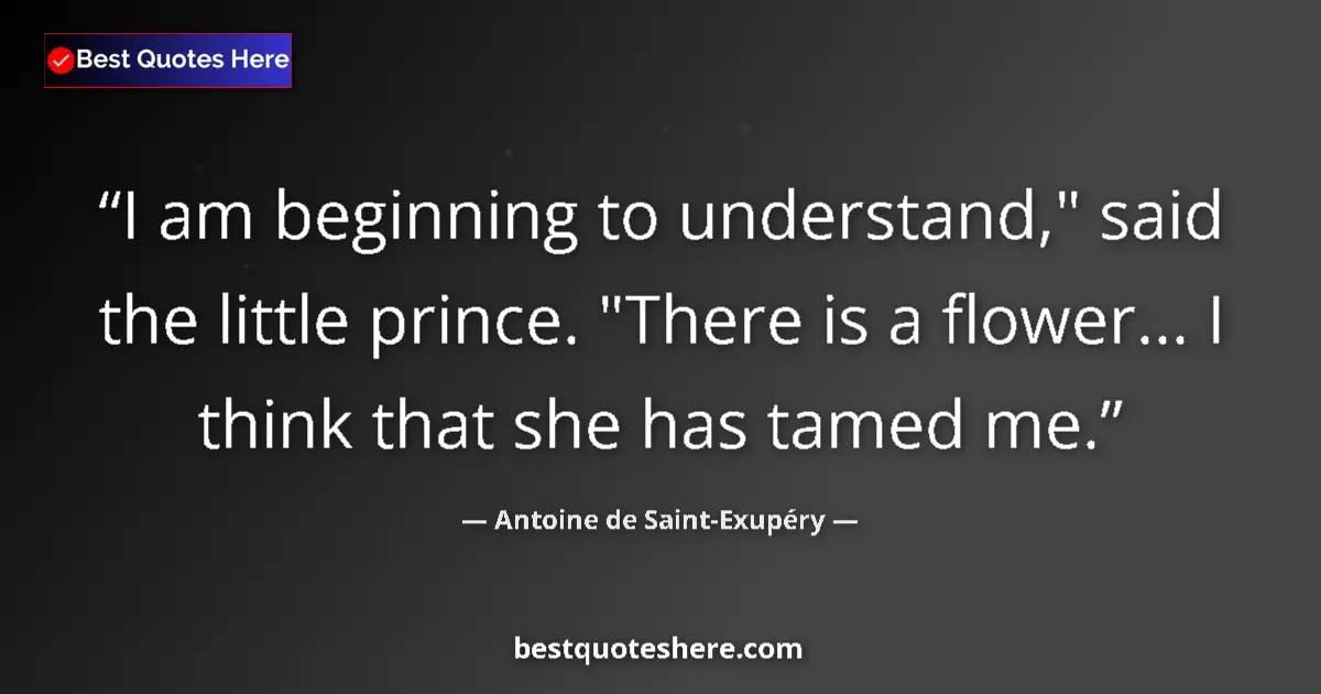 Image for the quote by Antoine De Saint Exupery: I am beginning to understand,
