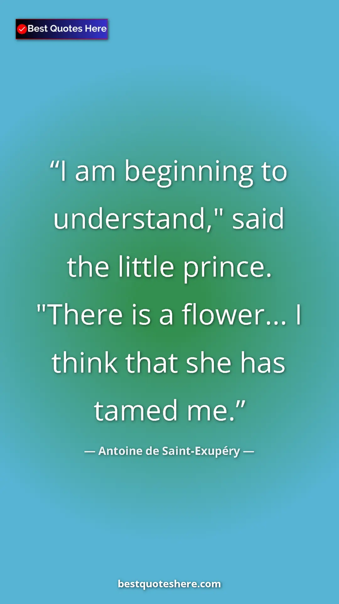 Pinterest quote poster by Antoine de Saint-Exupéry: "I am beginning to understand," said the little prince...."