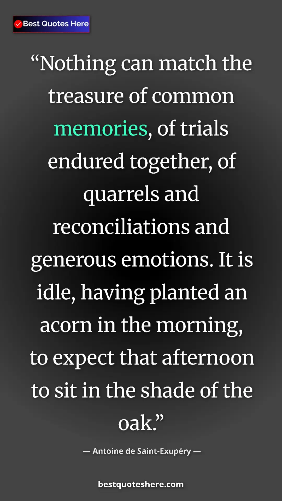 Pinterest quote poster by Antoine de Saint-Exupéry: "Nothing can match the treasure of common memories, of..."