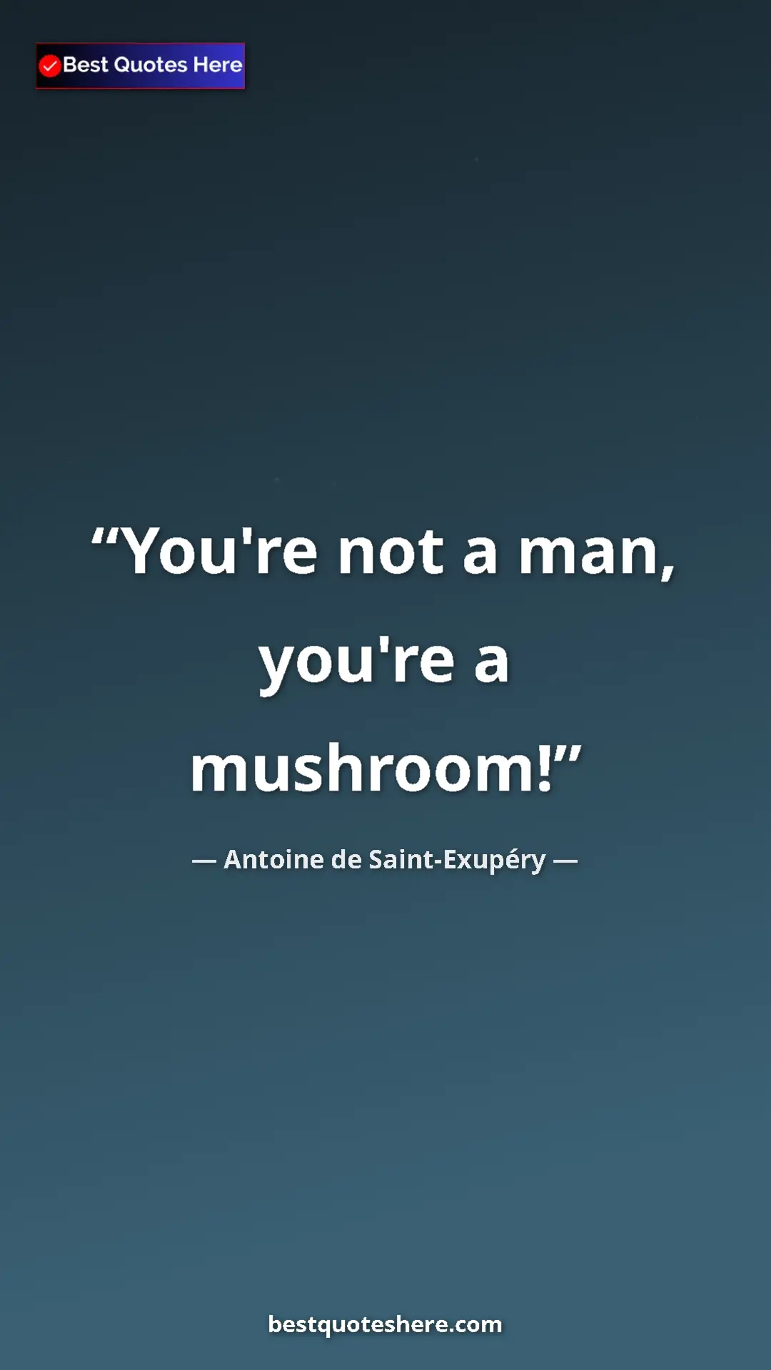 Pinterest quote poster by Antoine de Saint-Exupéry: "You're not a man, you're a mushroom!"