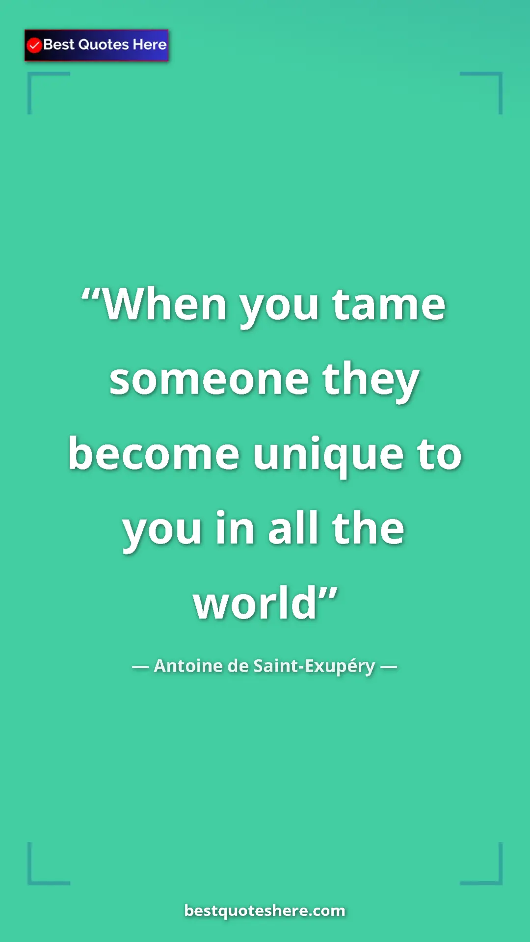 Pinterest quote poster by Antoine de Saint-Exupéry: "When you tame someone they become unique to you in all the..."