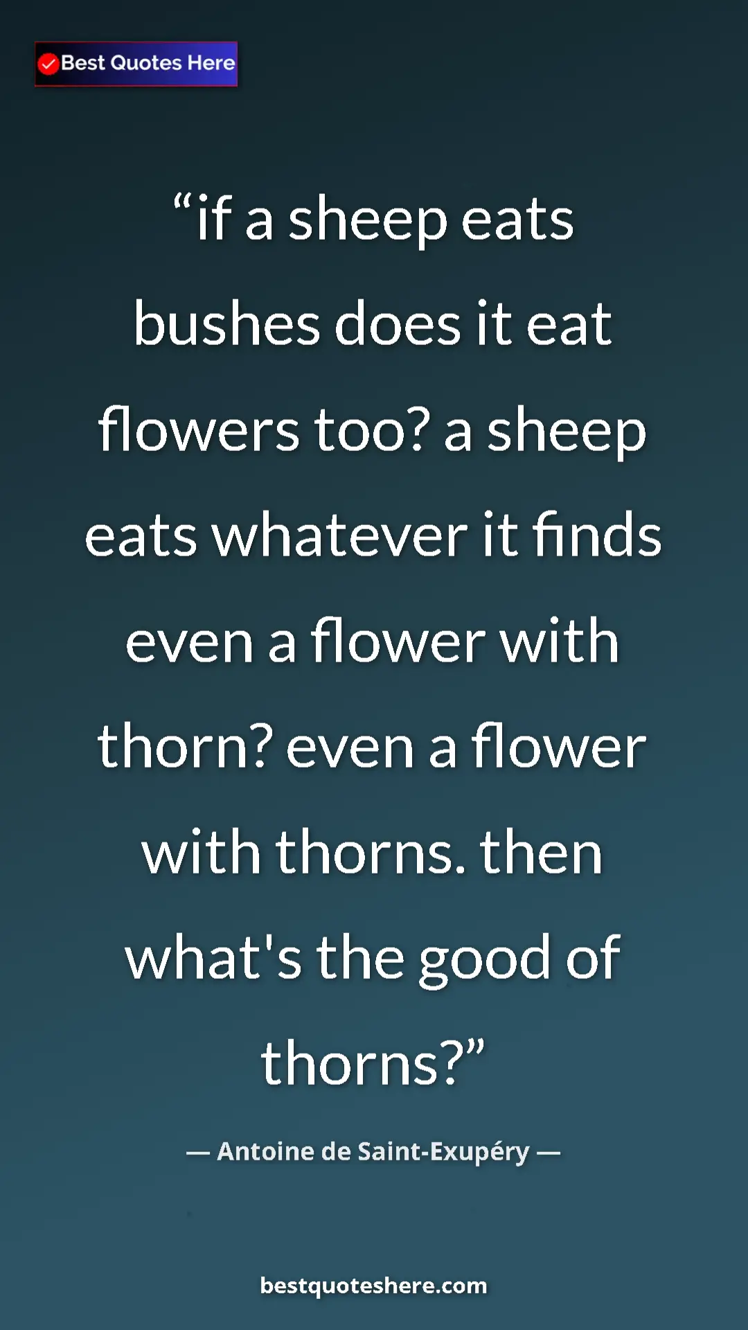 Pinterest quote poster by Antoine de Saint-Exupéry: "if a sheep eats bushes does it eat flowers too? a sheep..."