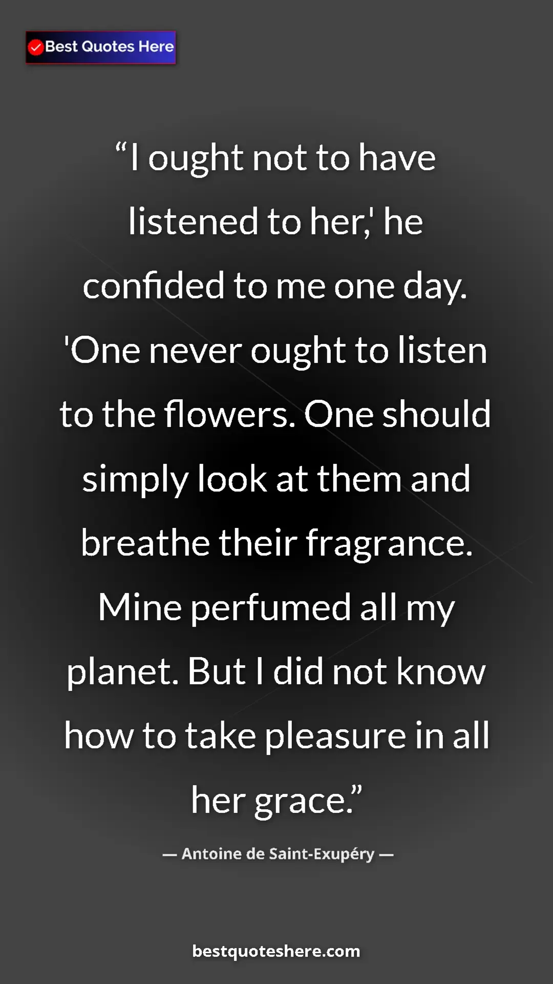 Antoine de Saint-Exupéry Quote Card: "I ought not to have listened to her,' he confided to me one..." Pinterest quote poster by Antoine de Saint-Exupéry: "I ought not to have listened to her,' he confided to me one..."