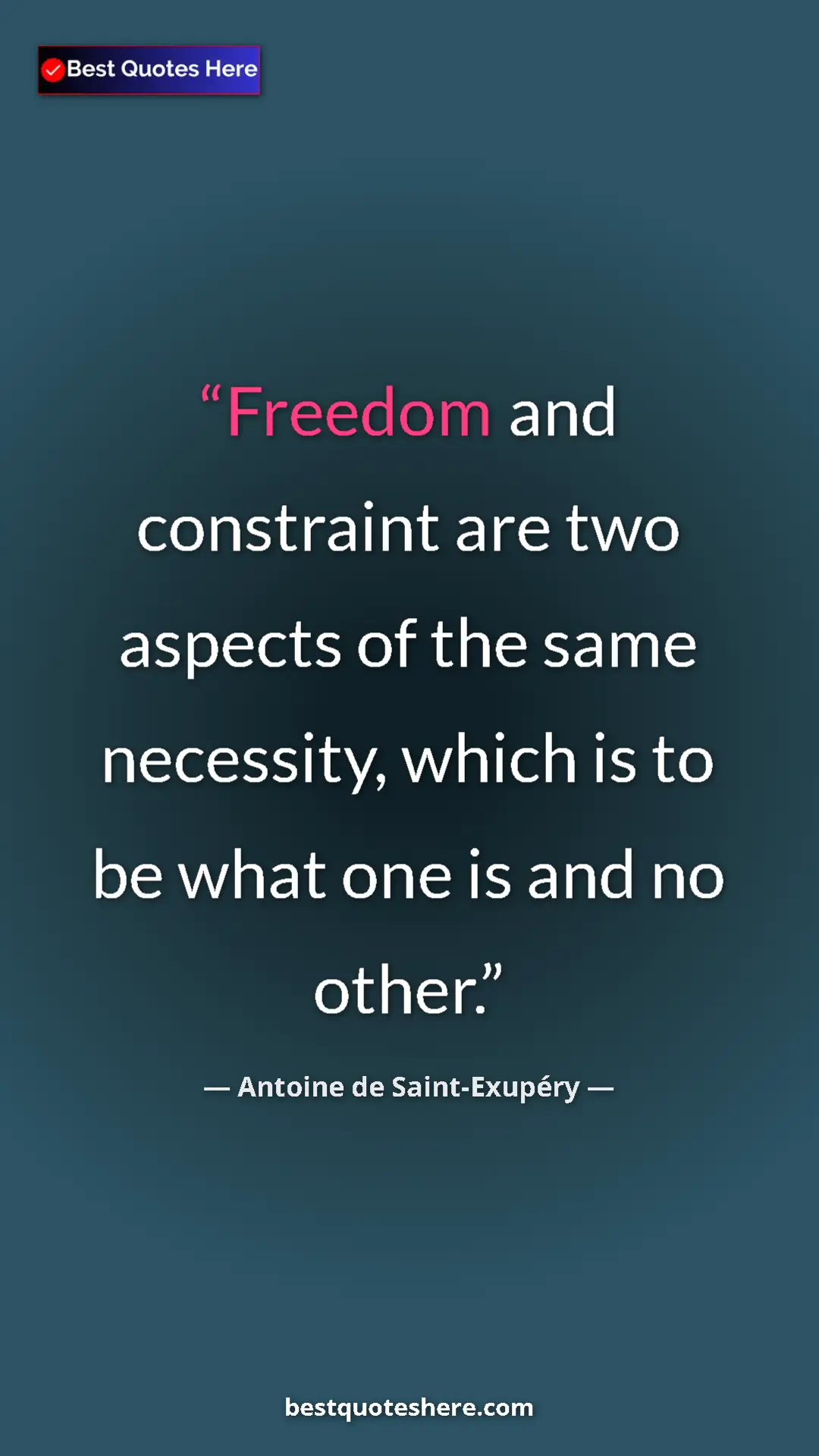 Pinterest quote poster by Antoine de Saint-Exupéry: "Freedom and constraint are two aspects of the same..."