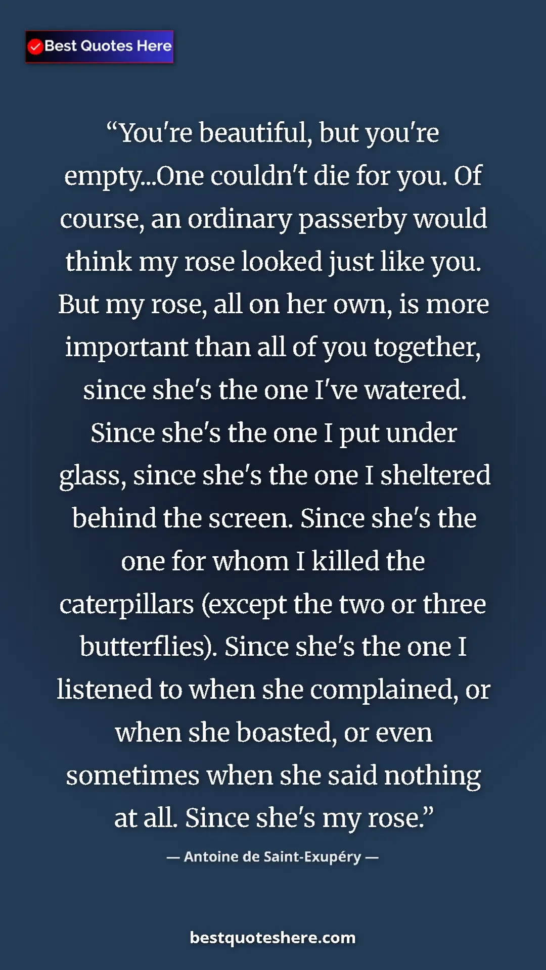 Pinterest quote poster by Antoine de Saint-Exupéry: "You're beautiful, but you're empty...One couldn't die for..."