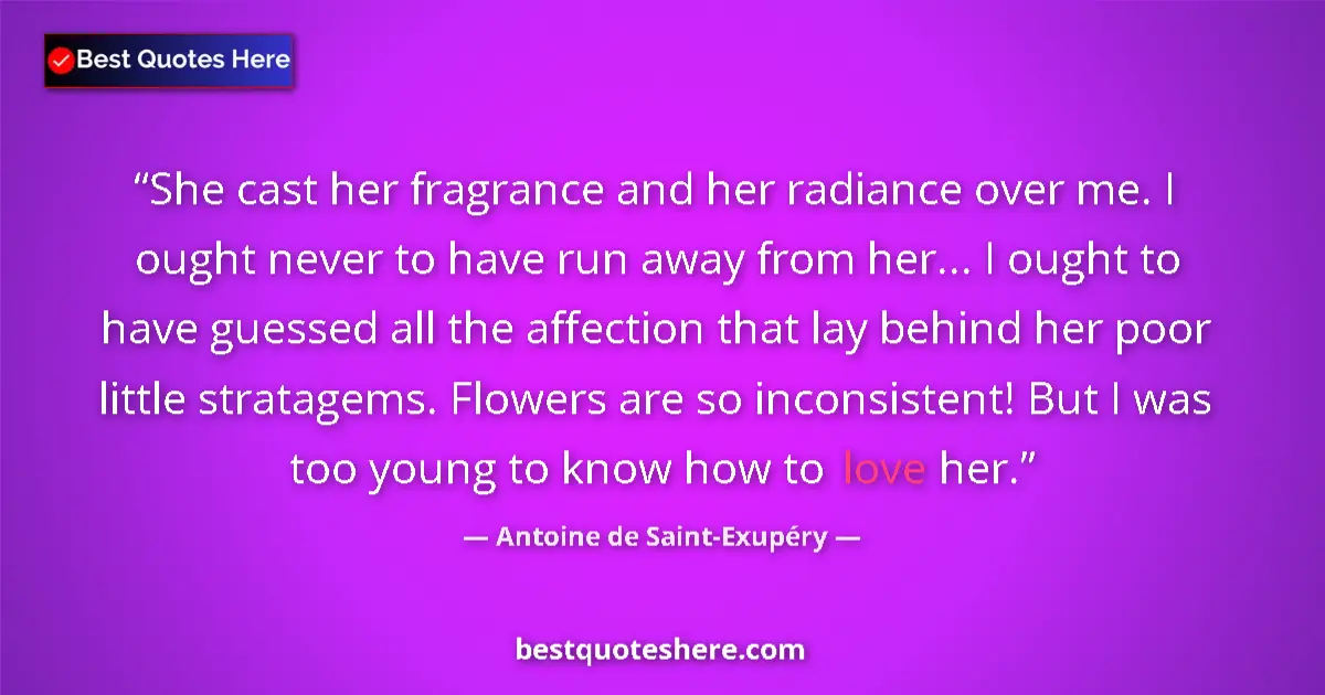 Quote by Antoine de Saint-Exupéry: She cast her fragrance and her radiance over me. I ought never to have run away from her... I ought ...
