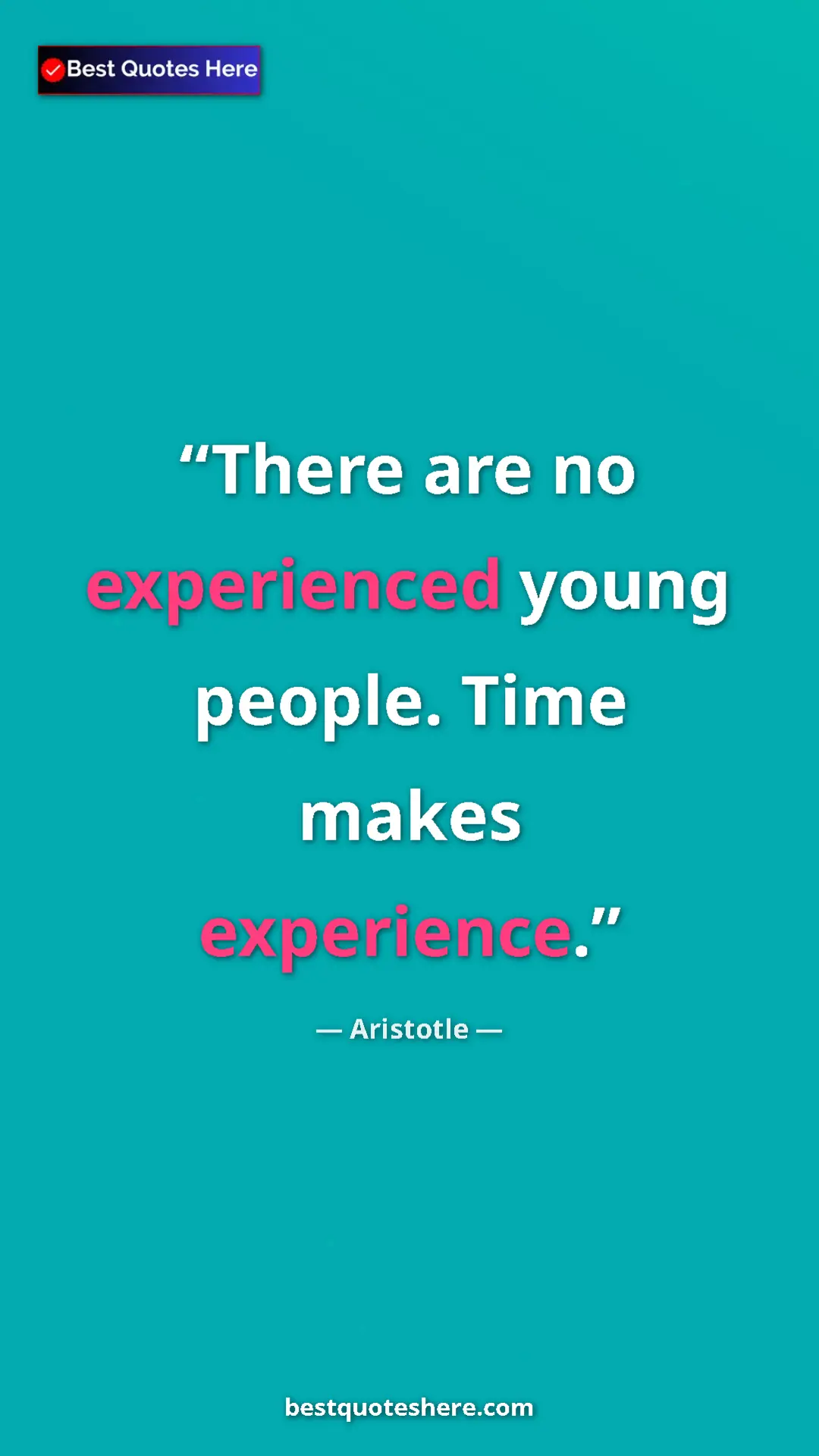 Pinterest quote poster by Aristotle: "There are no experienced young people. Time makes..."