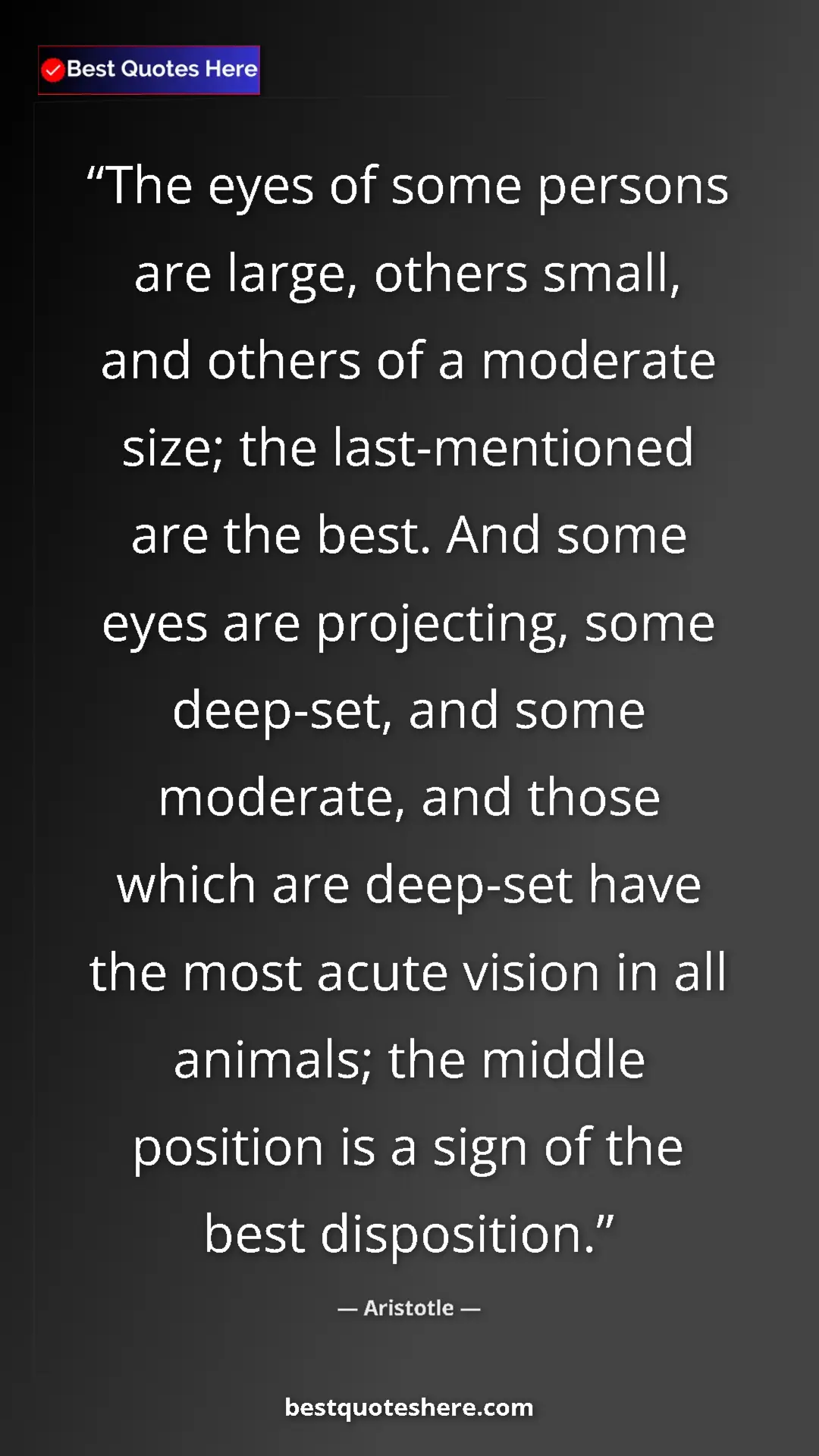 Aristotle Quote Card: "The eyes of some persons are large, others small, and..." Pinterest quote poster by Aristotle: "The eyes of some persons are large, others small, and..."