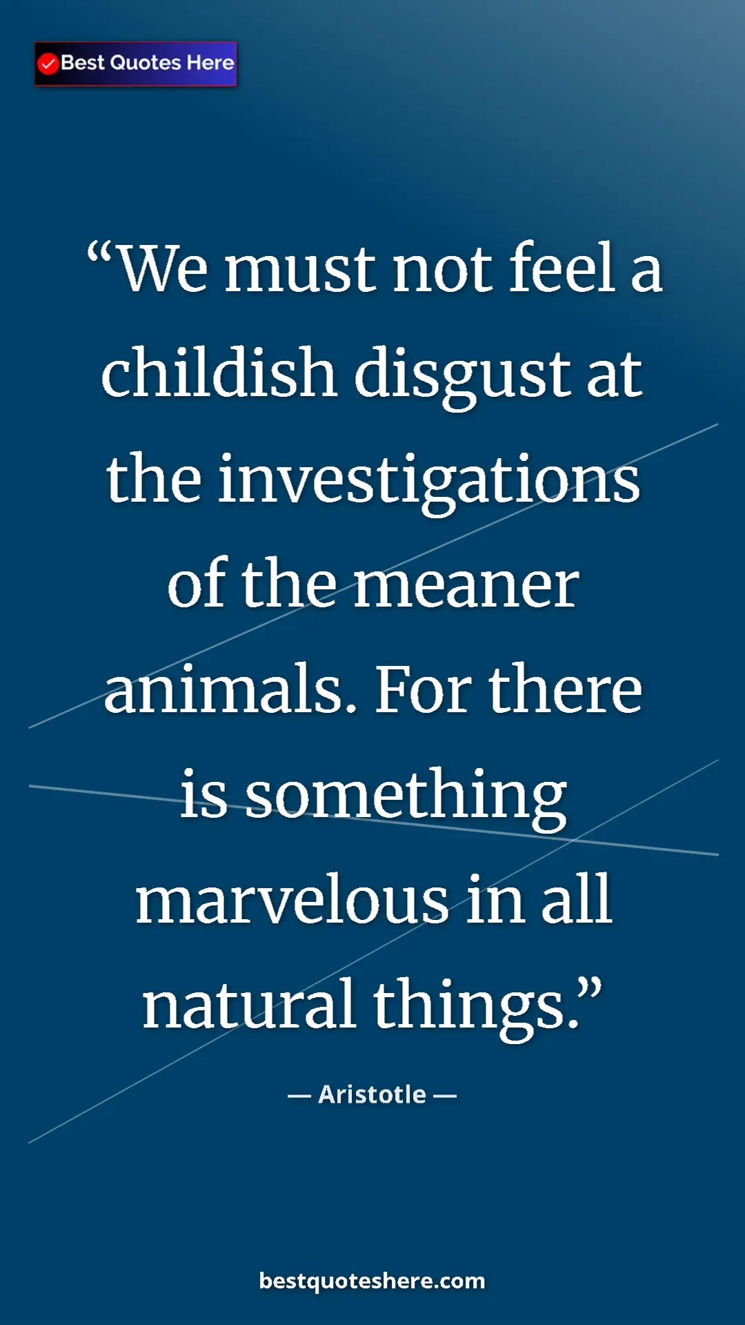 Aristotle Quote Card: "We must not feel a childish disgust at the investigations..." Pinterest quote poster by Aristotle: "We must not feel a childish disgust at the investigations..."