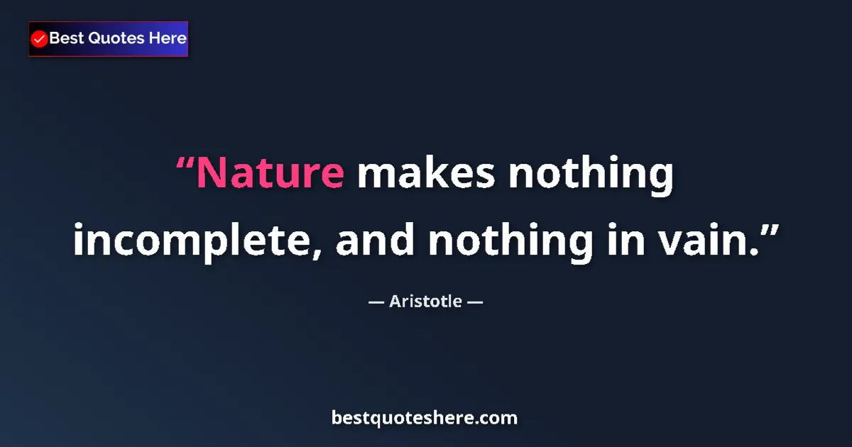 Image for the quote by Aristotle: Nature makes nothing incomplete, and nothing in vain....