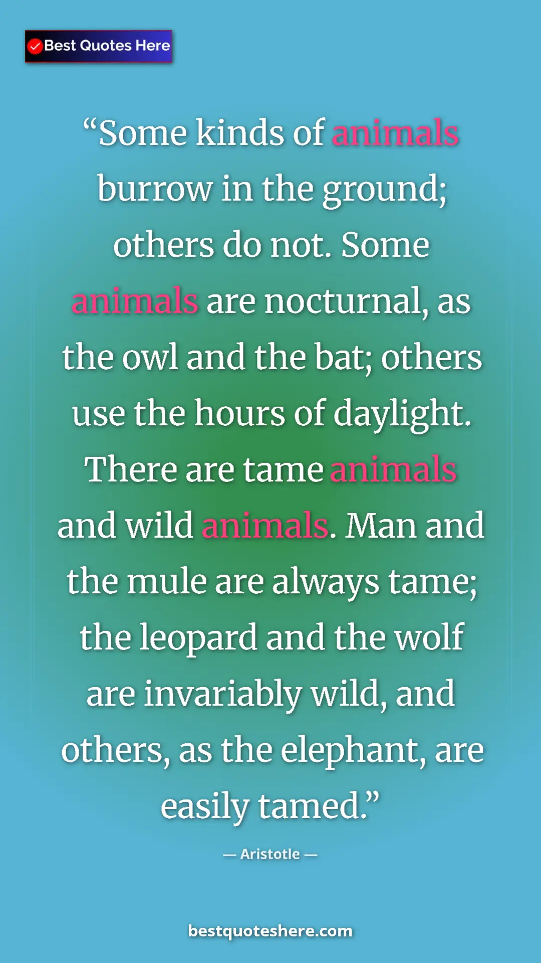 Aristotle Quote Card: "Some kinds of animals burrow in the ground; others do not...." Pinterest quote poster by Aristotle: "Some kinds of animals burrow in the ground; others do not...."