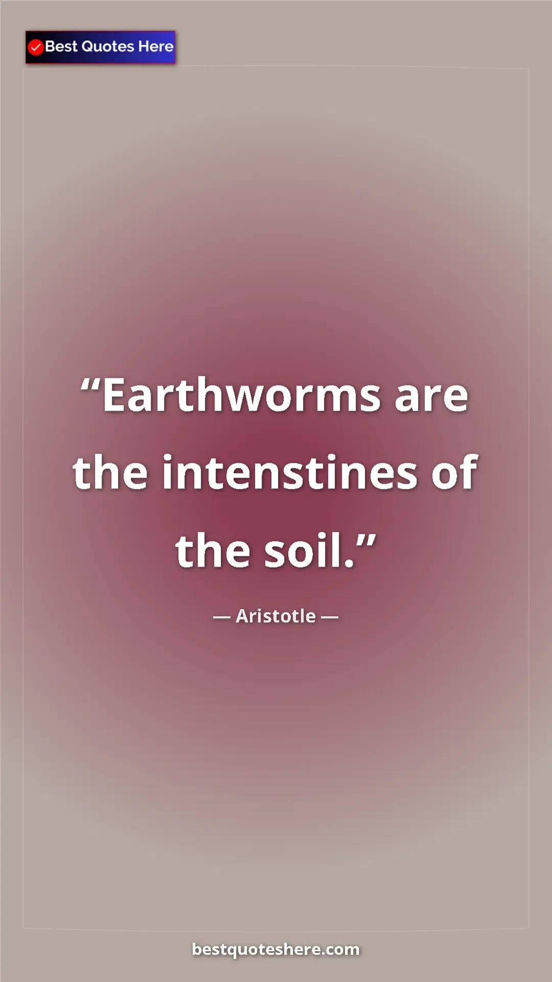 Pinterest quote poster by Aristotle: "Earthworms are the intenstines of the soil."