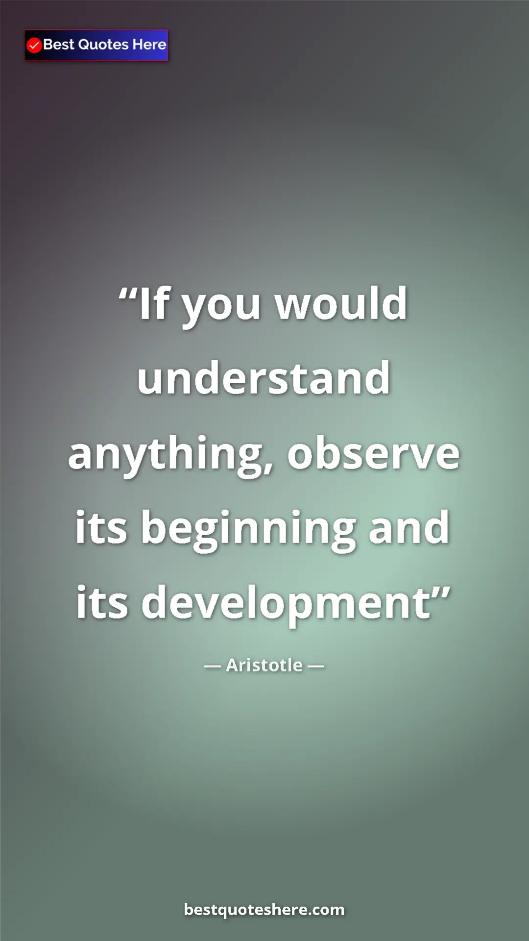 Aristotle Quote Card: "If you would understand anything, observe its beginning and..." Pinterest quote poster by Aristotle: "If you would understand anything, observe its beginning and..."