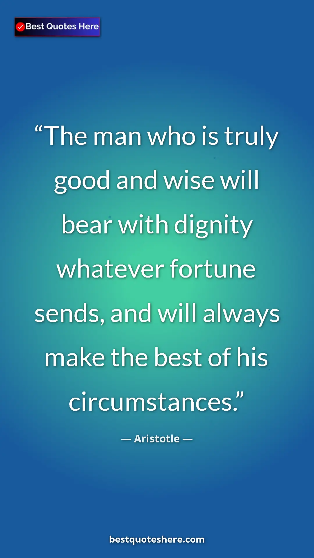 Aristotle Quote Card: "The man who is truly good and wise will bear with dignity..." Pinterest quote poster by Aristotle: "The man who is truly good and wise will bear with dignity..."