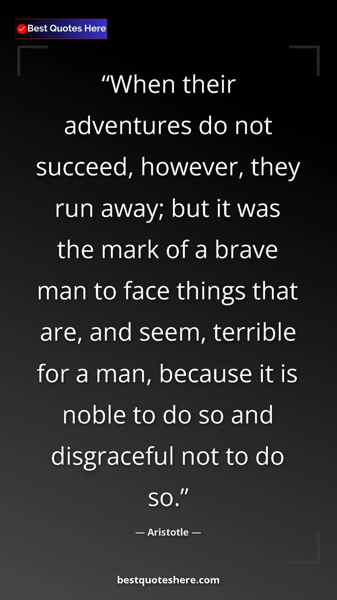 Pinterest quote poster by Aristotle: "When their adventures do not succeed, however, they run..."