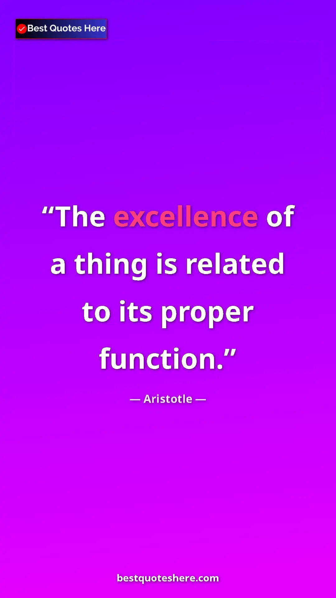 Pinterest quote poster by Aristotle: "The excellence of a thing is related to its proper function."