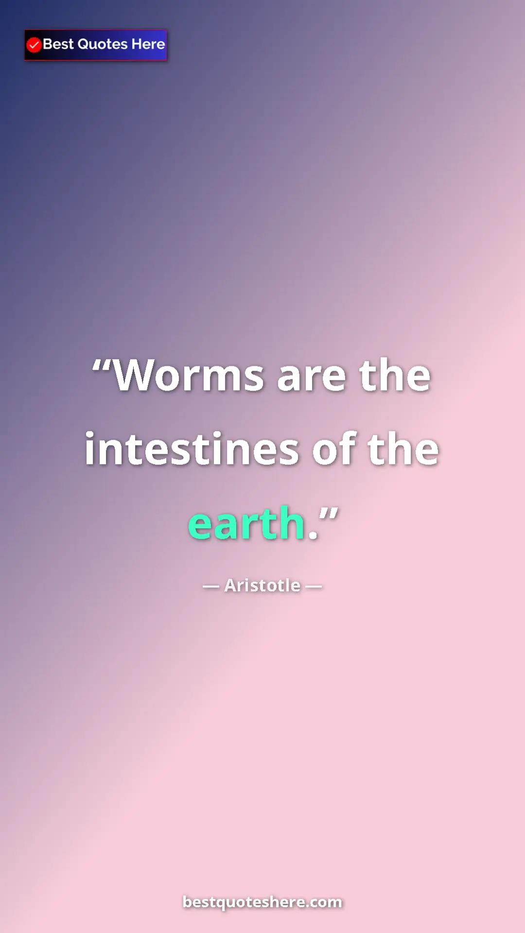 Pinterest quote poster by Aristotle: "Worms are the intestines of the earth."