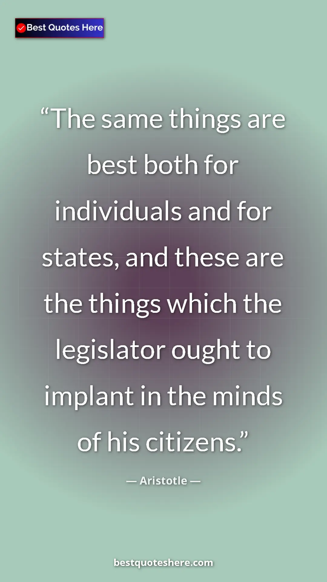 Pinterest quote poster by Aristotle: "The same things are best both for individuals and for..."