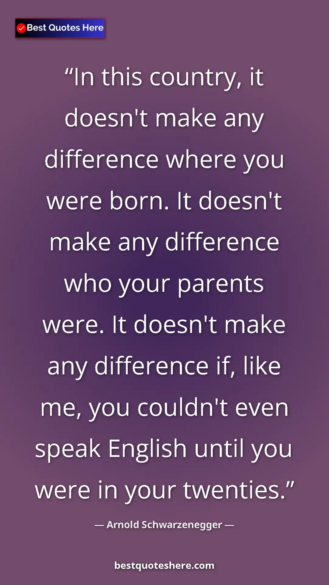 Pinterest quote poster by Arnold Schwarzenegger: "In this country, it doesn't make any difference where you..."