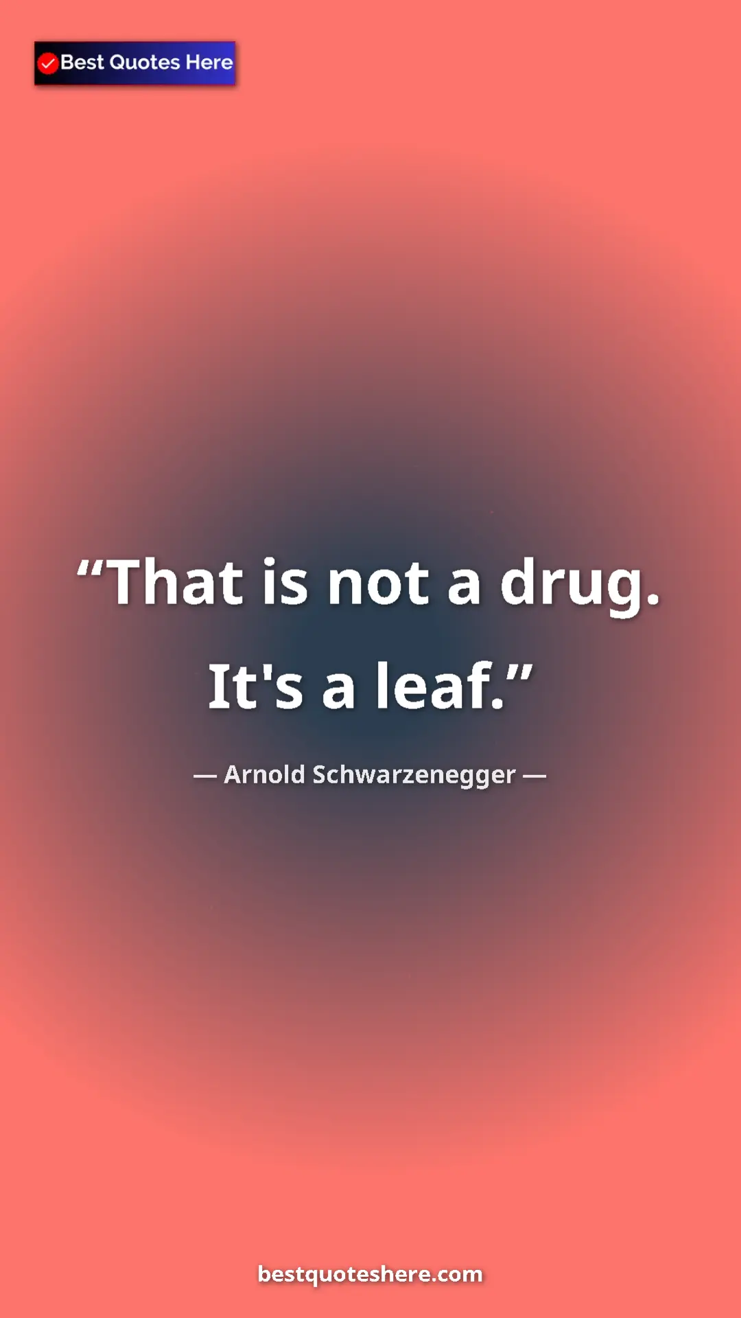 Pinterest quote poster by Arnold Schwarzenegger: "That is not a drug. It's a leaf."