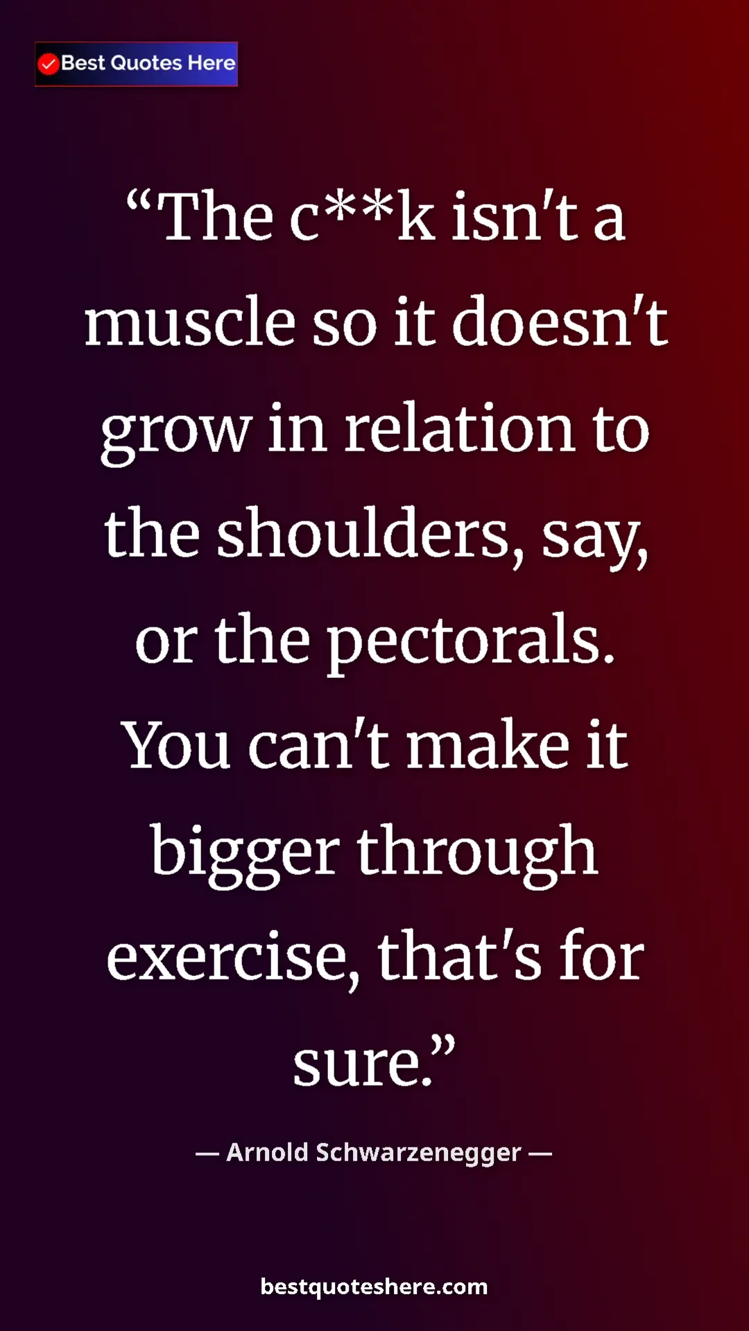 Pinterest quote poster by Arnold Schwarzenegger: "The c**k isn't a muscle so it doesn't grow in relation to..."
