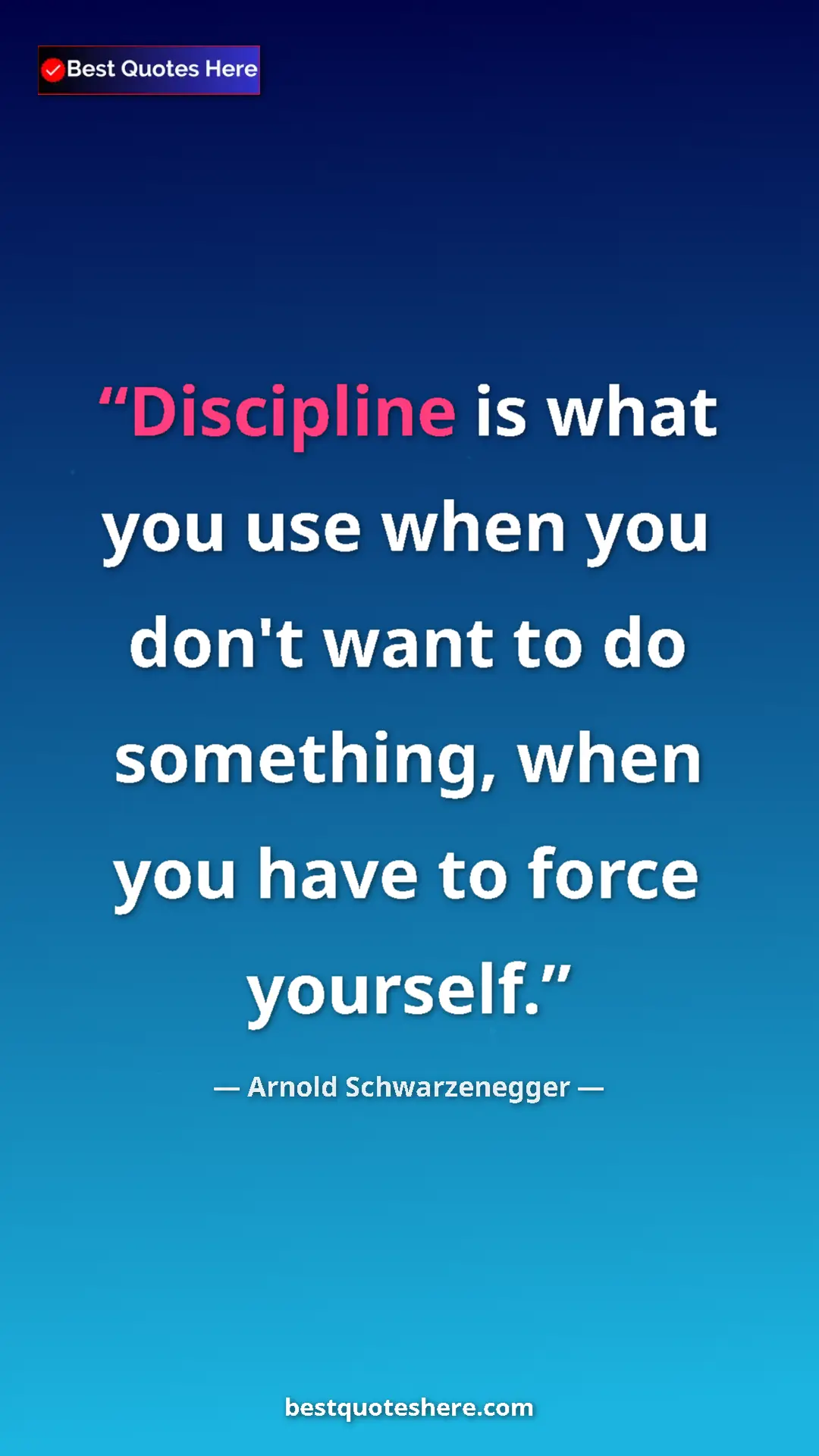 Pinterest quote poster by Arnold Schwarzenegger: "Discipline is what you use when you don't want to do..."