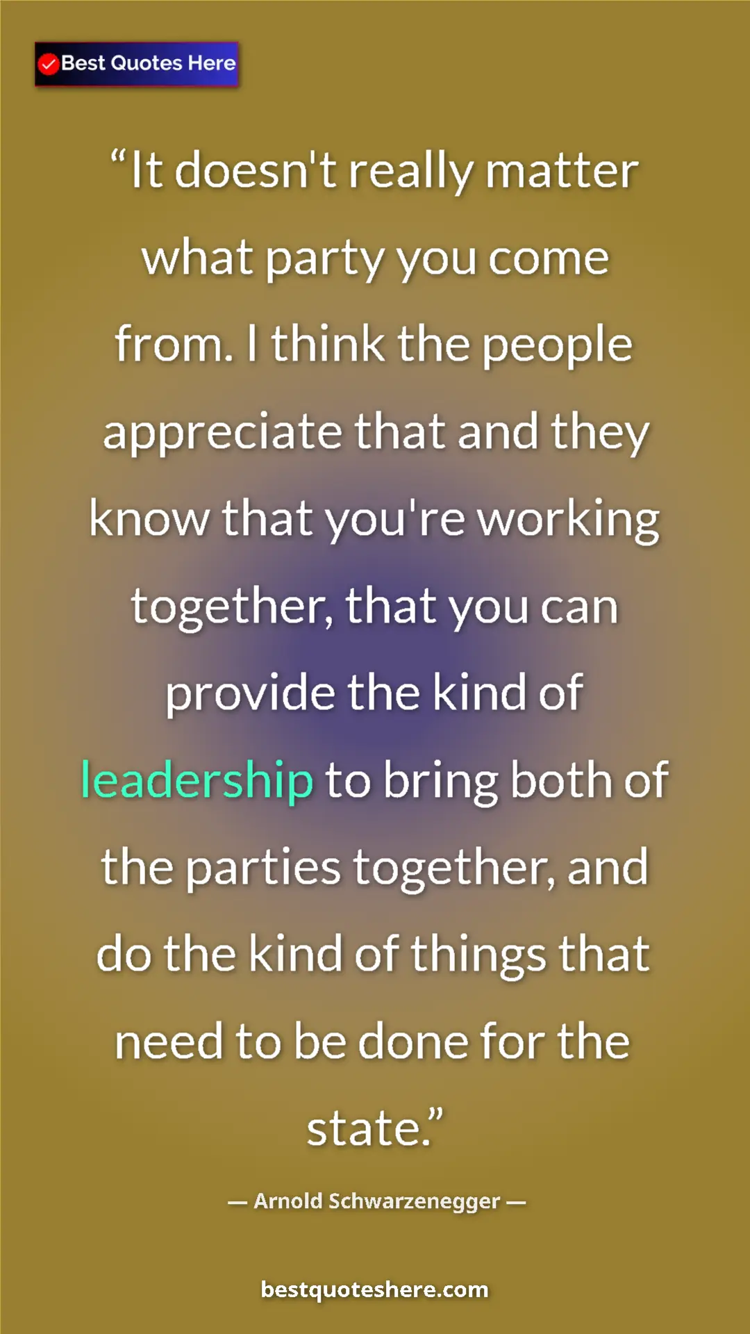 Arnold Schwarzenegger Quote Card: "It doesn't really matter what party you come from. I think..." Pinterest quote poster by Arnold Schwarzenegger: "It doesn't really matter what party you come from. I think..."