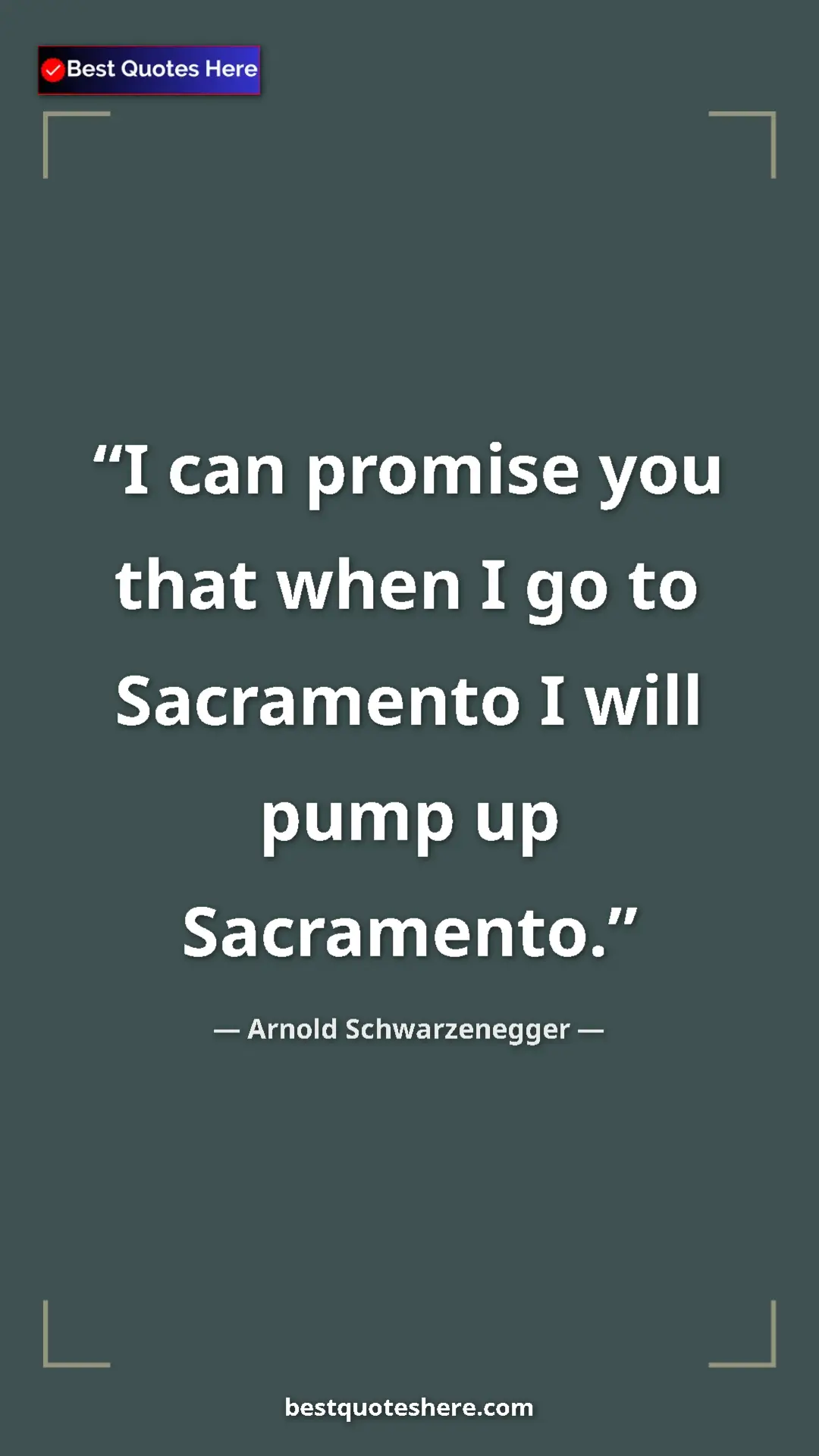Pinterest quote poster by Arnold Schwarzenegger: "I can promise you that when I go to Sacramento I will pump..."