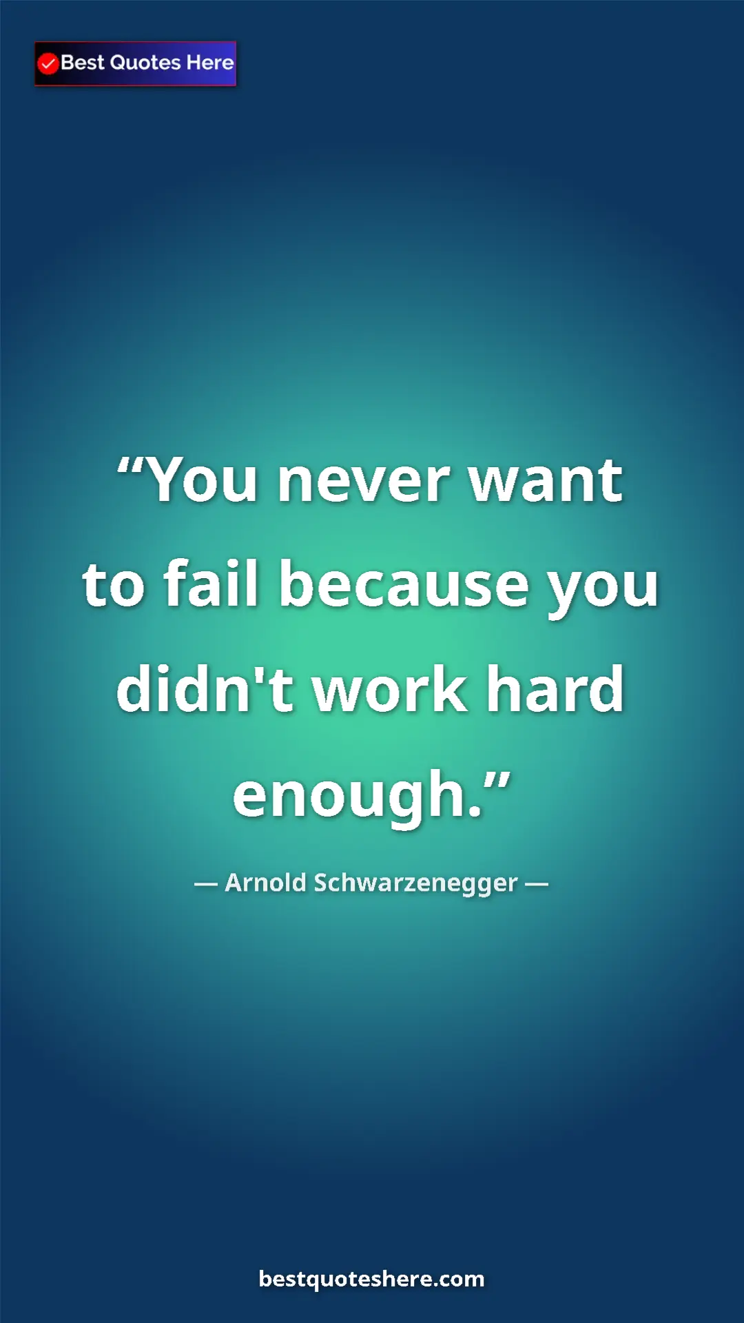 Pinterest quote poster by Arnold Schwarzenegger: "You never want to fail because you didn't work hard enough."
