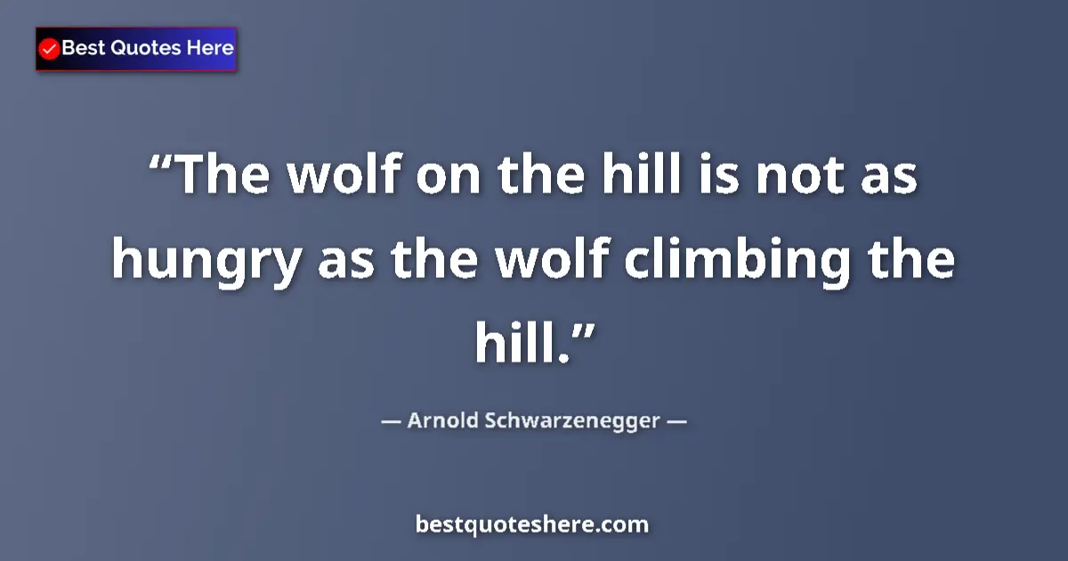 Quote by Arnold Schwarzenegger: The wolf on the hill is not as hungry as the wolf climbing the hill....
